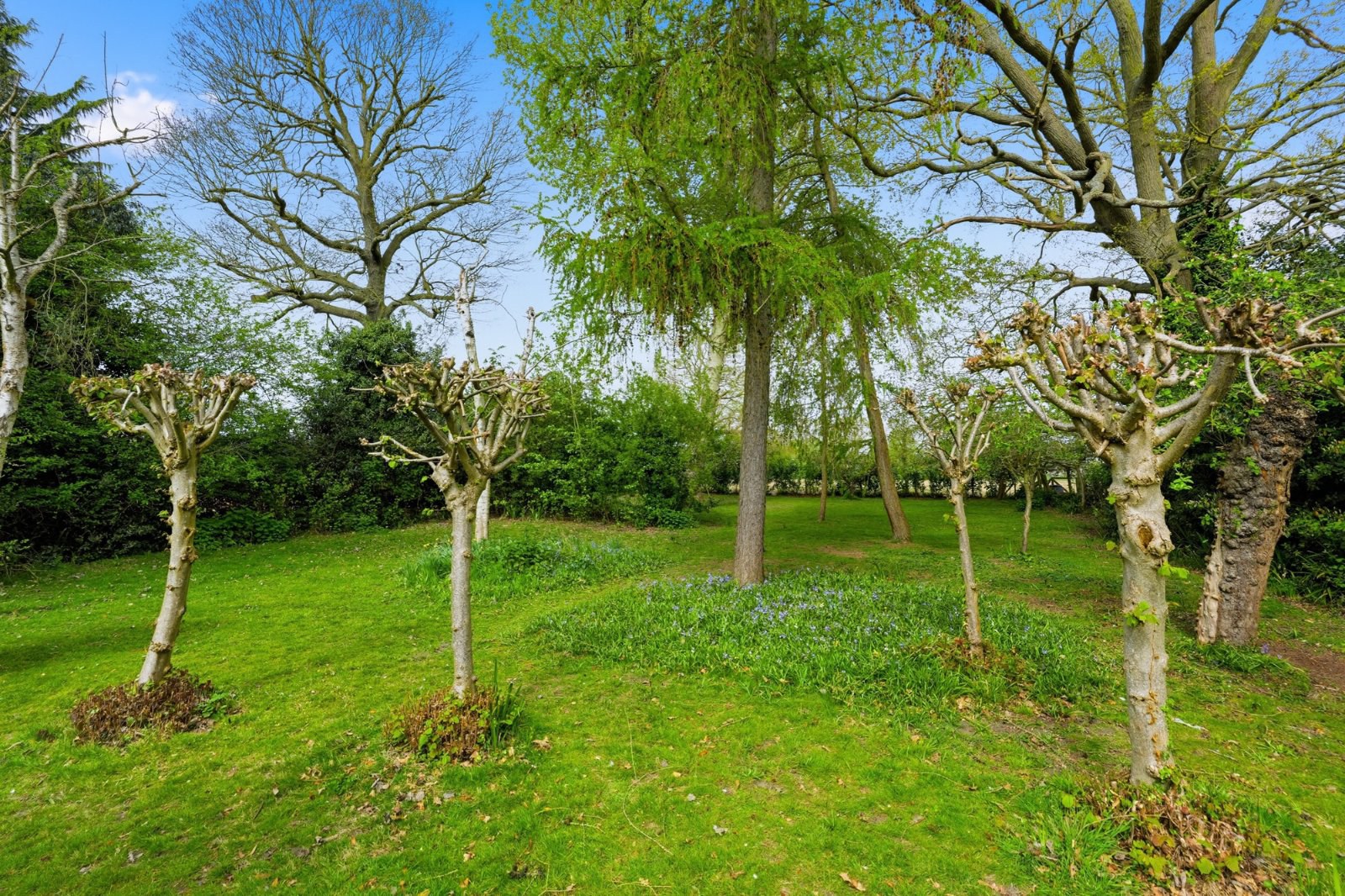 Manor Road, West Bergholt, Colchester, Essex, CO6, photo 33