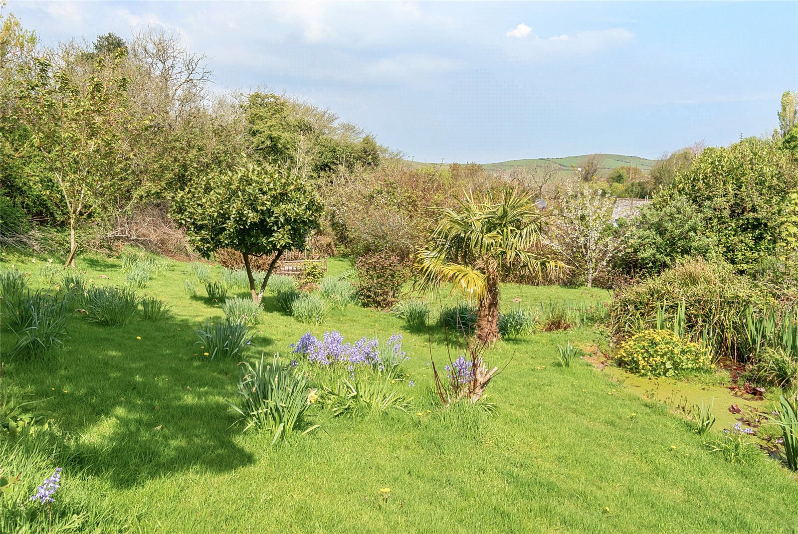 Exmoor National Park, Parracombe, Barnstaple, Devon, EX31, photo 3