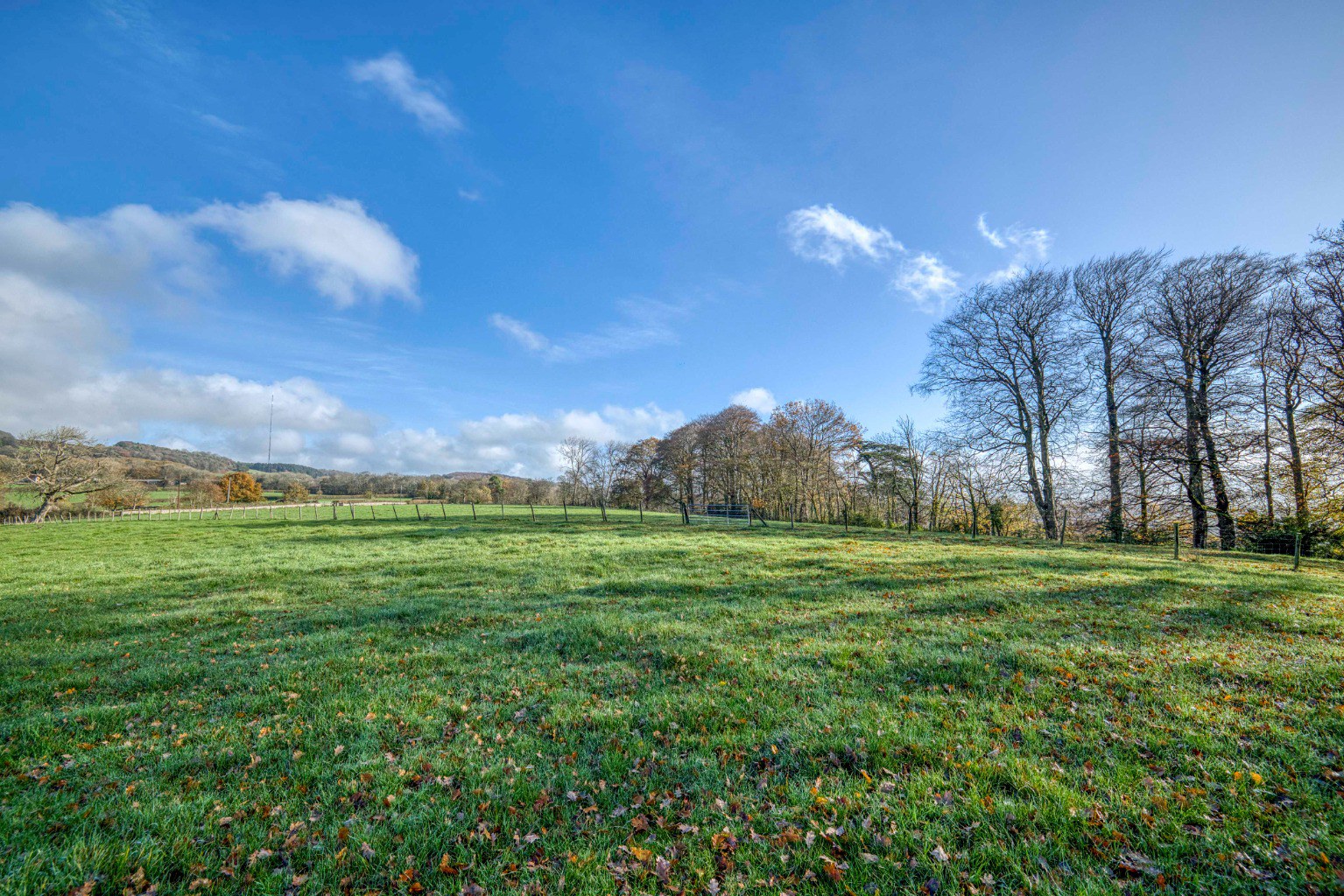 Manor house with circa 26 acres, a mile from Wells, photo 42