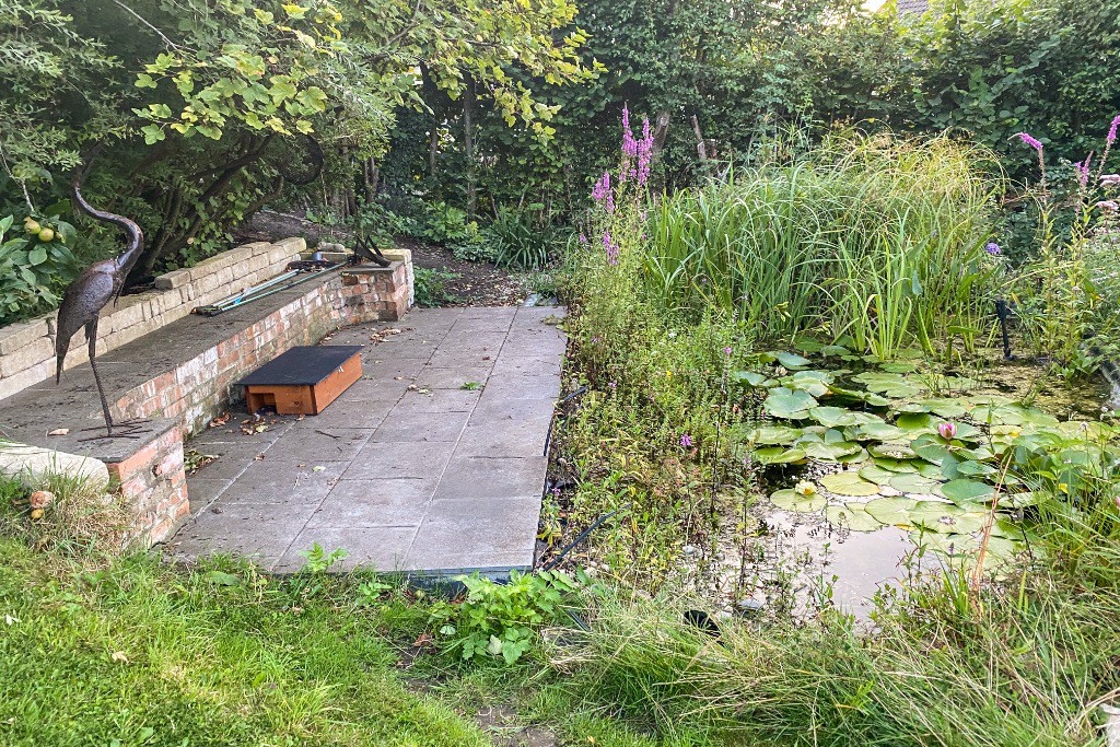 Lusty Gardens, Bruton, photo 27