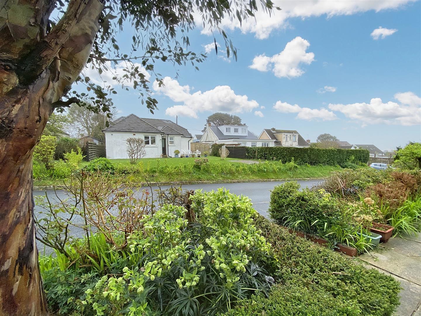 High Grove, Twycross, Saundersfoot, photo 5