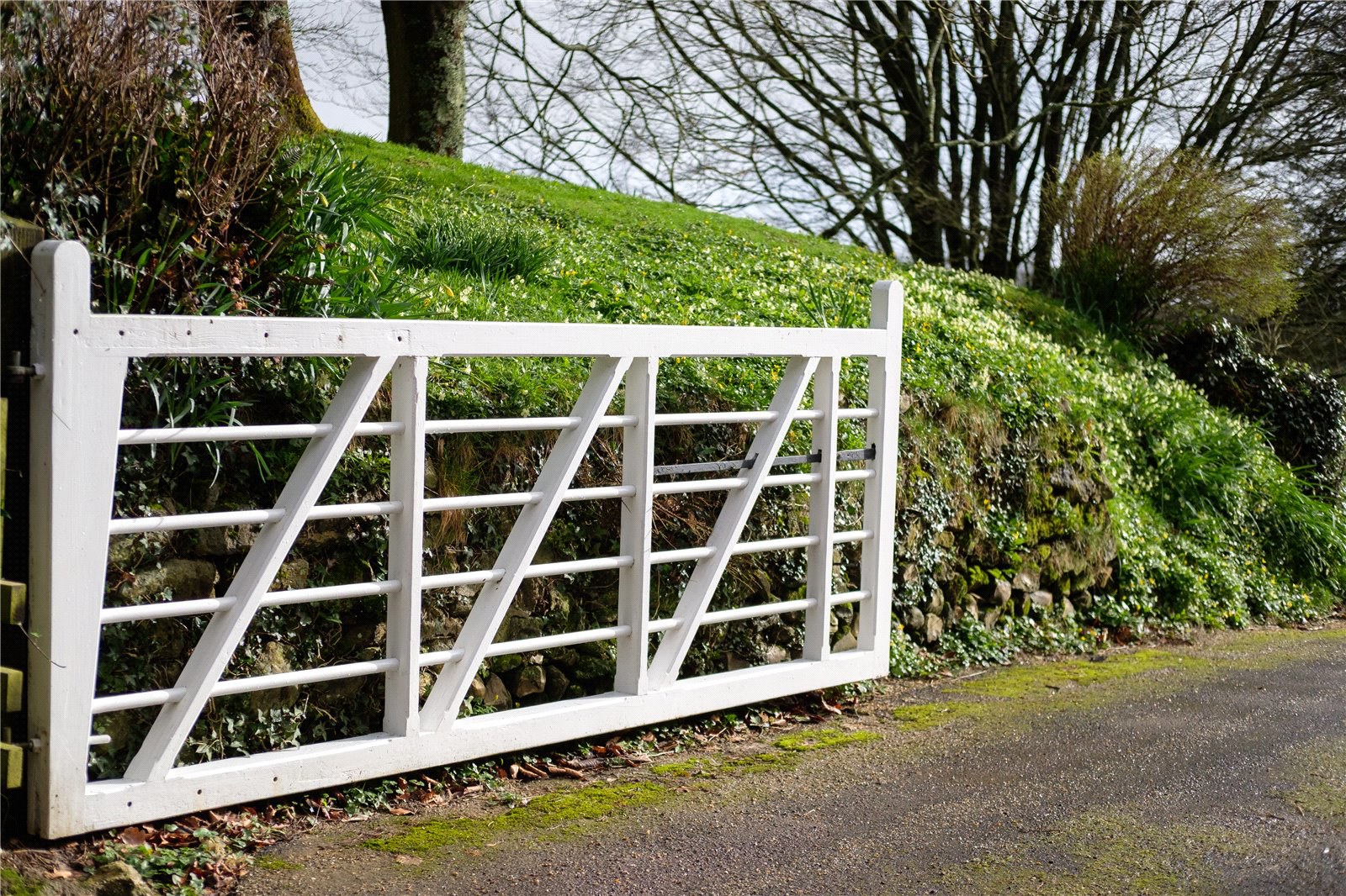 Stoke Abbott, Beaminster, Dorset, DT8, photo 34