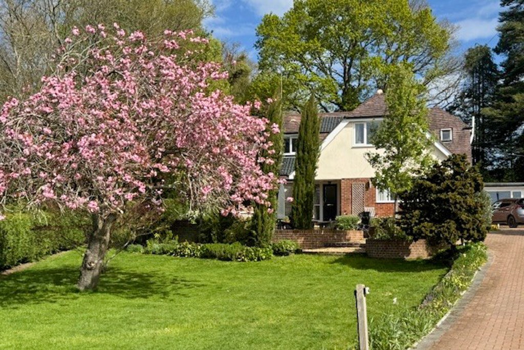 Bunny Lane, Sherfield English, Romsey, SO51, photo 4