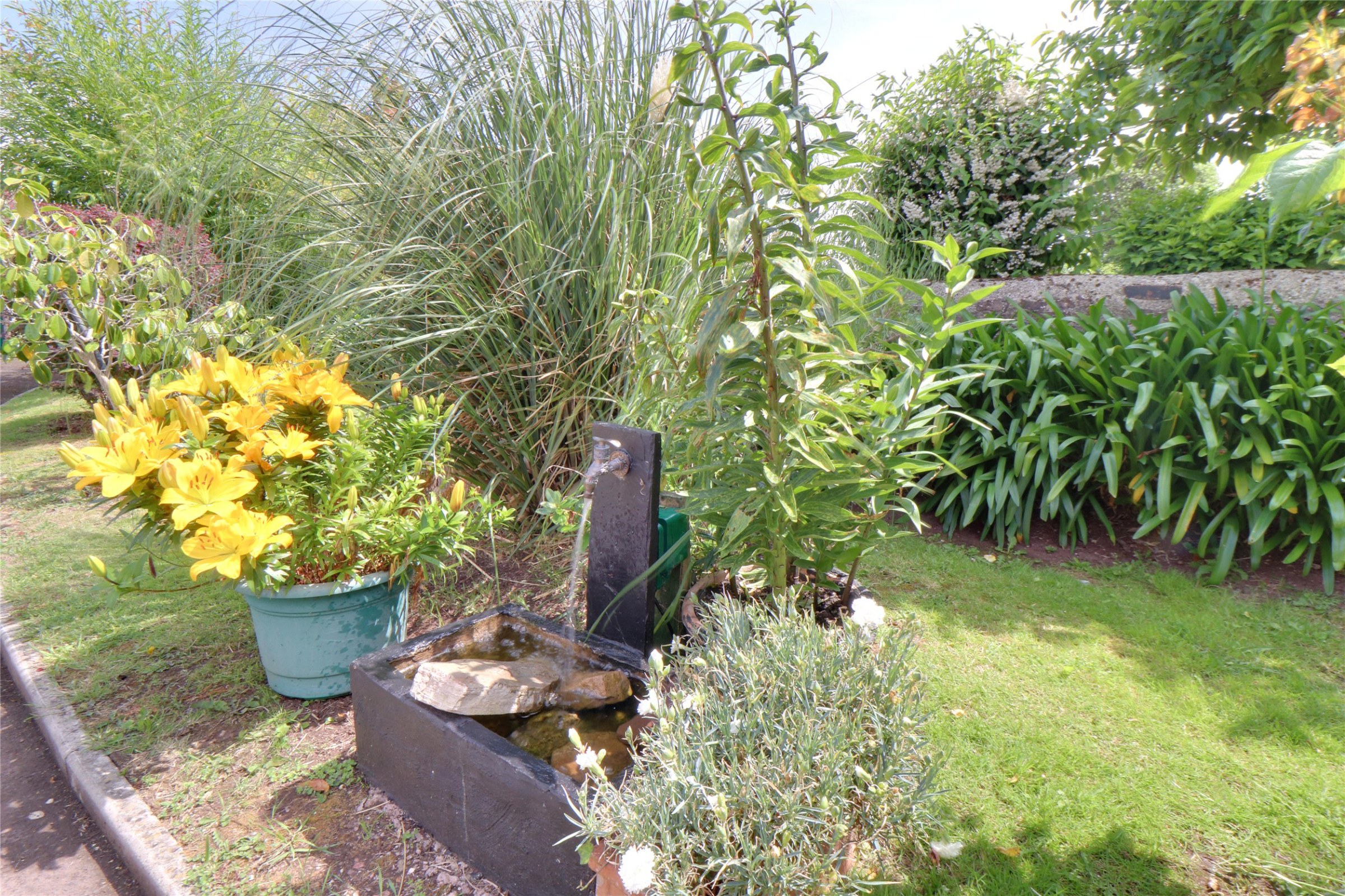 Combeland Road, Alcombe, Minehead, Someset, TA24, photo 15