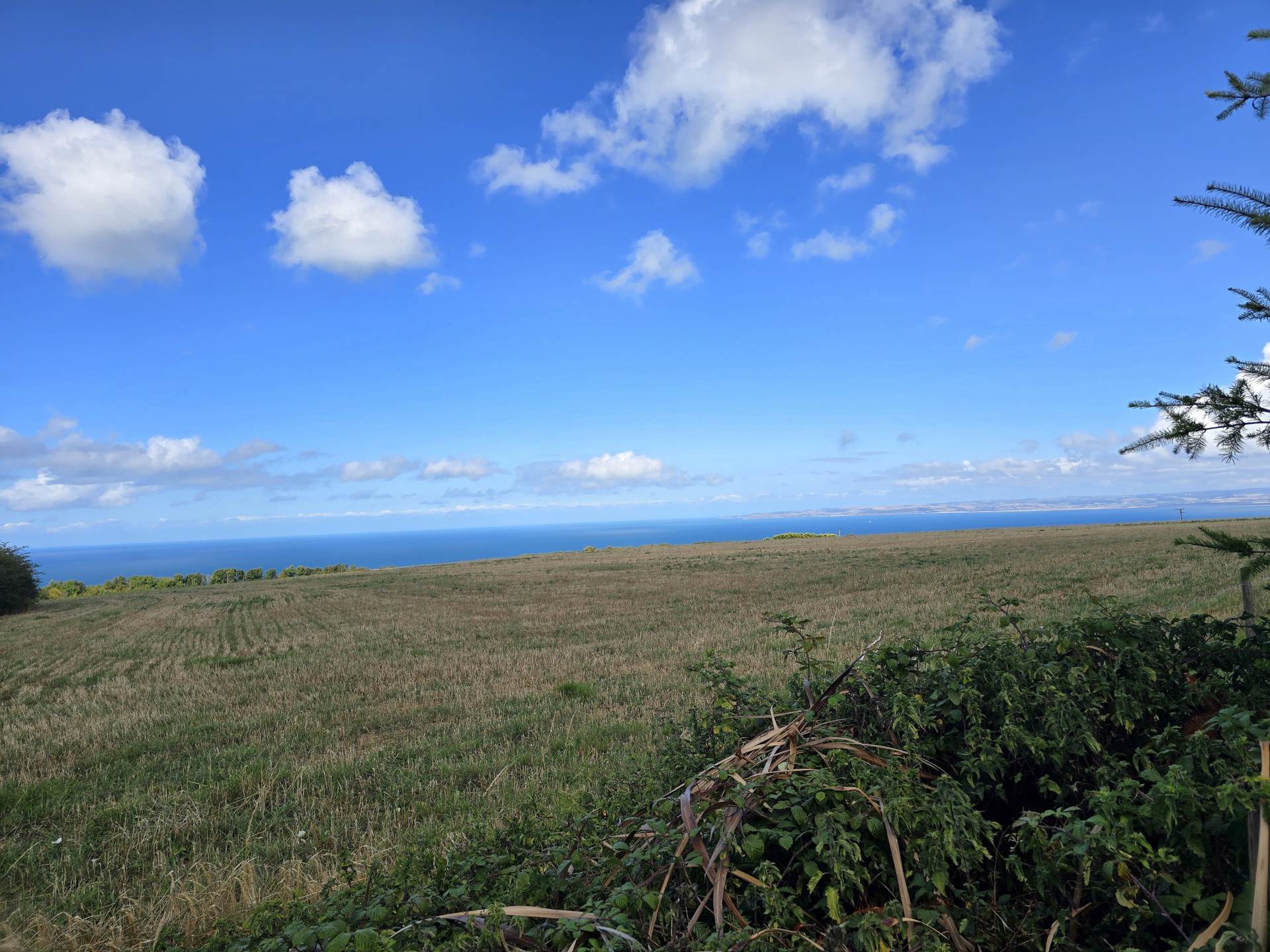 Winsworthy, Higher Clovelly, photo 23