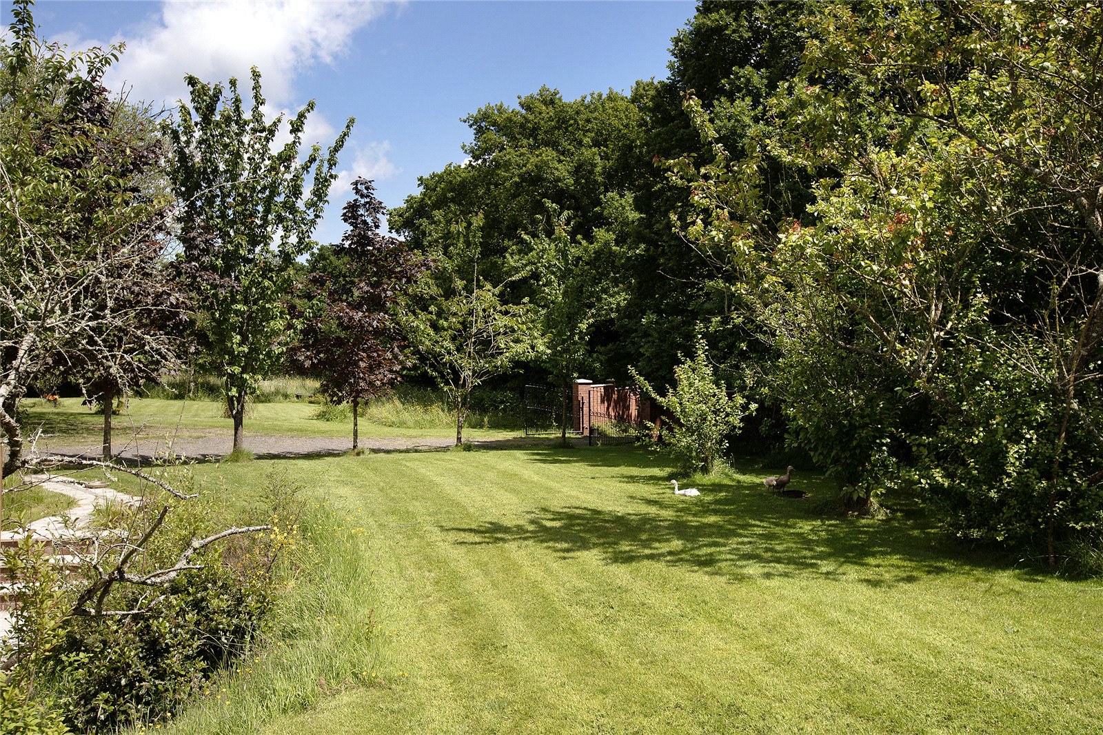 Morchard Bishop, Crediton, Devon, EX17, photo 17