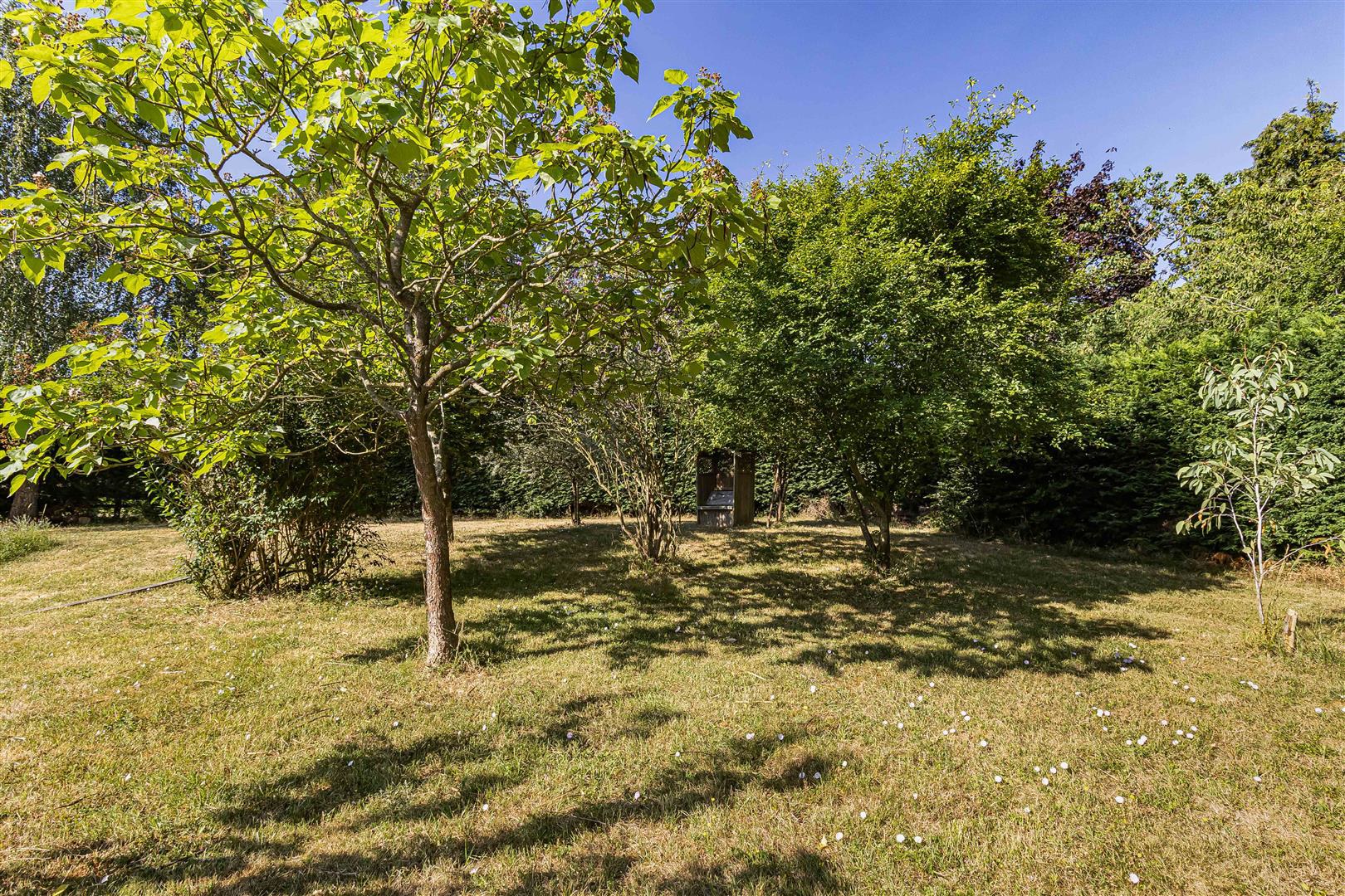 South Road, Abington, Cambridge, photo 23