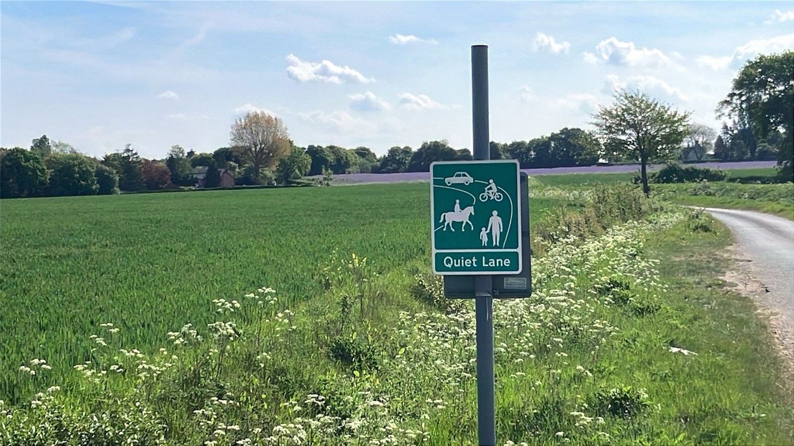 Mills Lane, Long Melford, Sudbury, Suffolk, CO10, photo 26