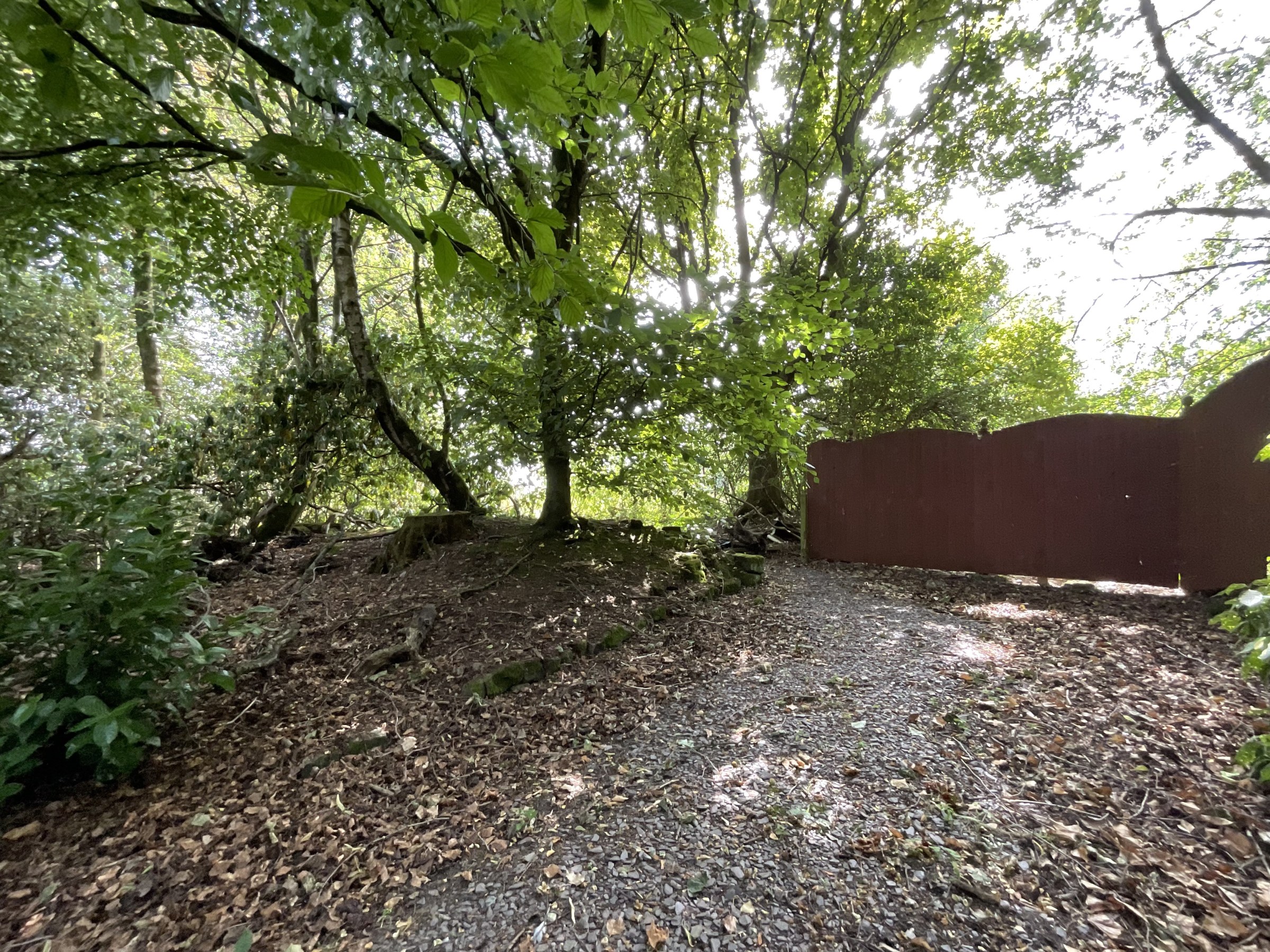 Nightingale Walk, Blythe Bridge, ST11, photo 48