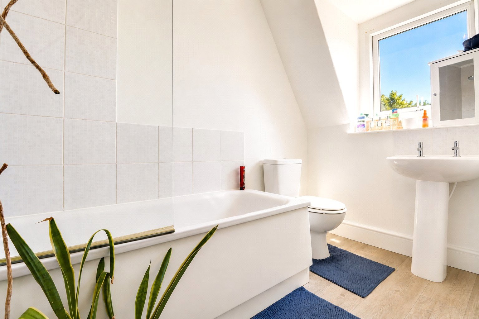 Boutport Street, Barnstaple, Devon, EX31, photo 10