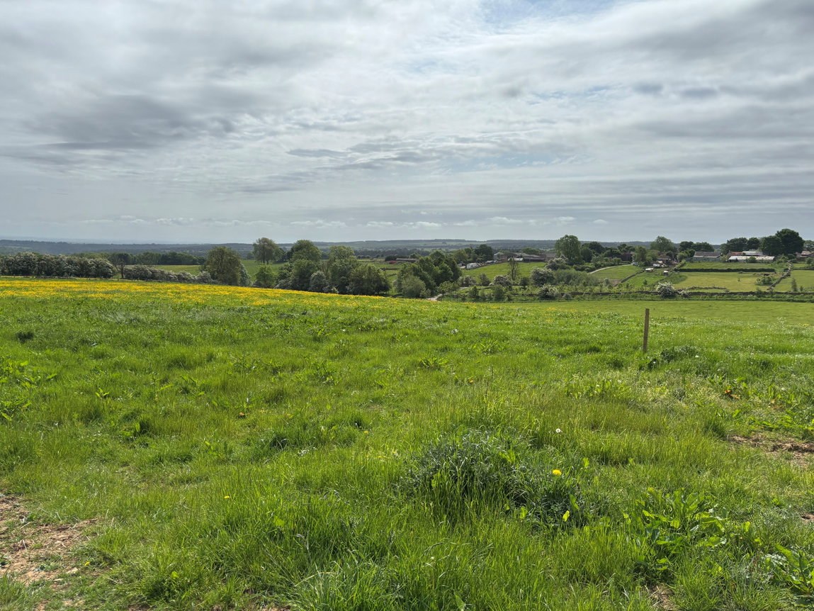 7.53 Acres Approx of Productive Grassland