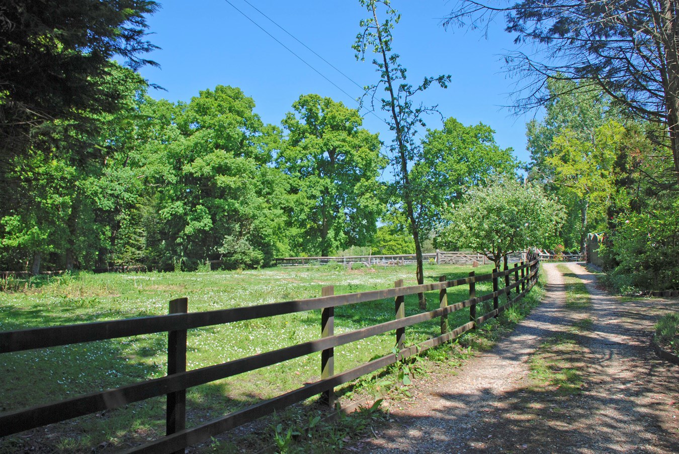 South Drive, Ossemsley, New Milton, BH25, photo 21