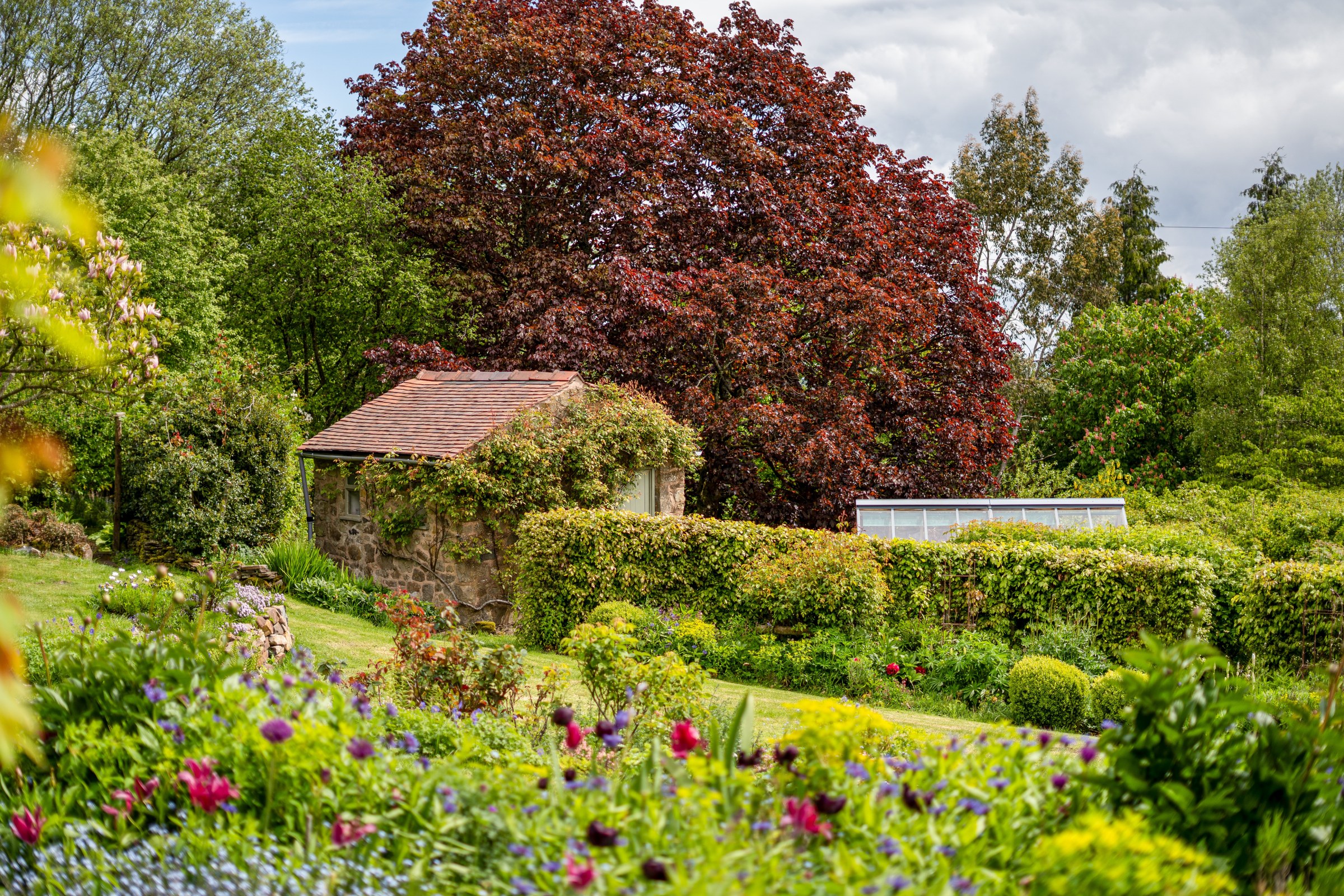 Hopton Bank, Hopton Wafers, DY14, photo 41
