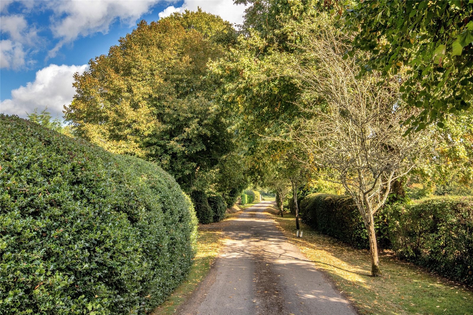 Hinksden Road, Benenden, Kent, TN17, photo 7