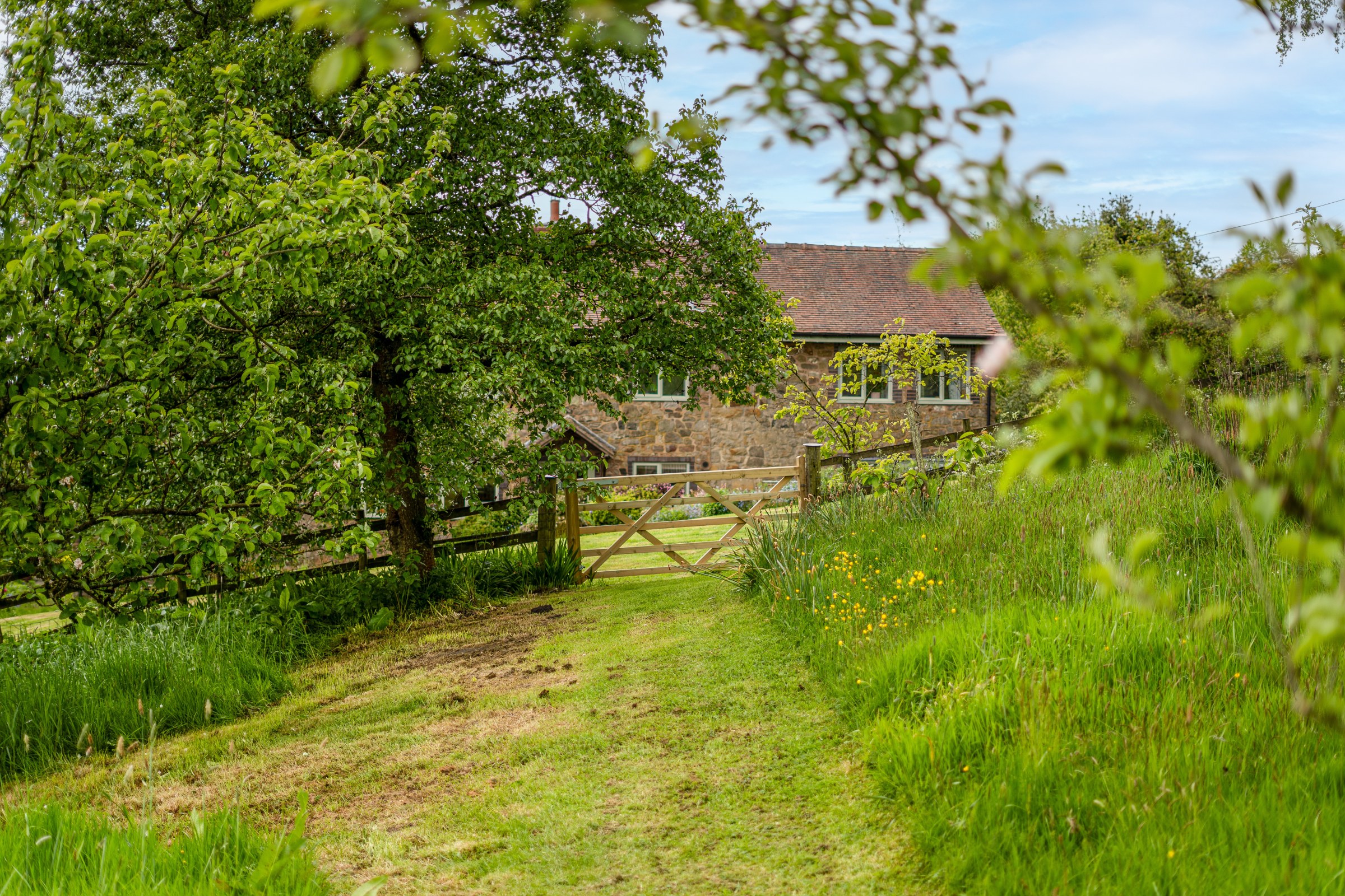 Hopton Bank, Hopton Wafers, DY14, photo 36