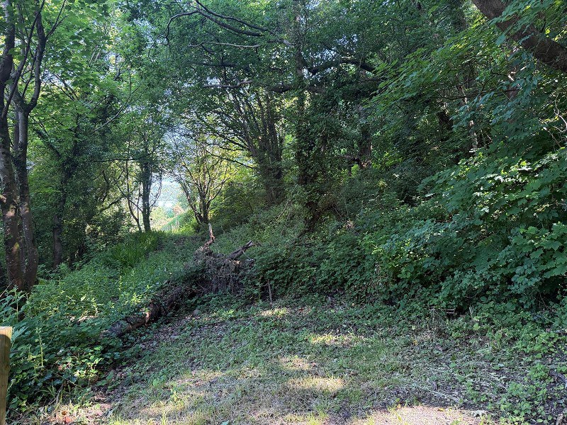 Fernfield, Baglan, Port Talbot, Neath Port Talbot., photo 28