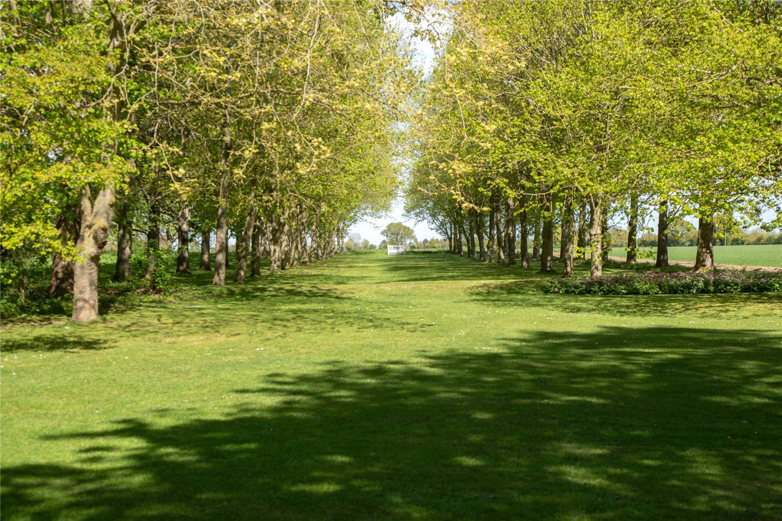 Washbrook, Ipswich, Suffolk, IP8, photo 14
