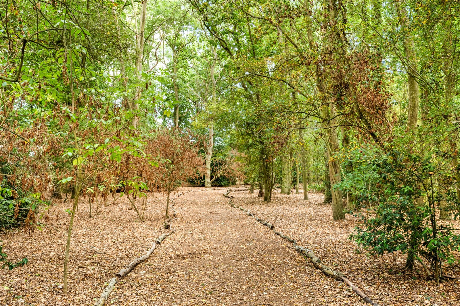 The Old Rectory, Rectory Road, Aldham, Essex, CO6, photo 42