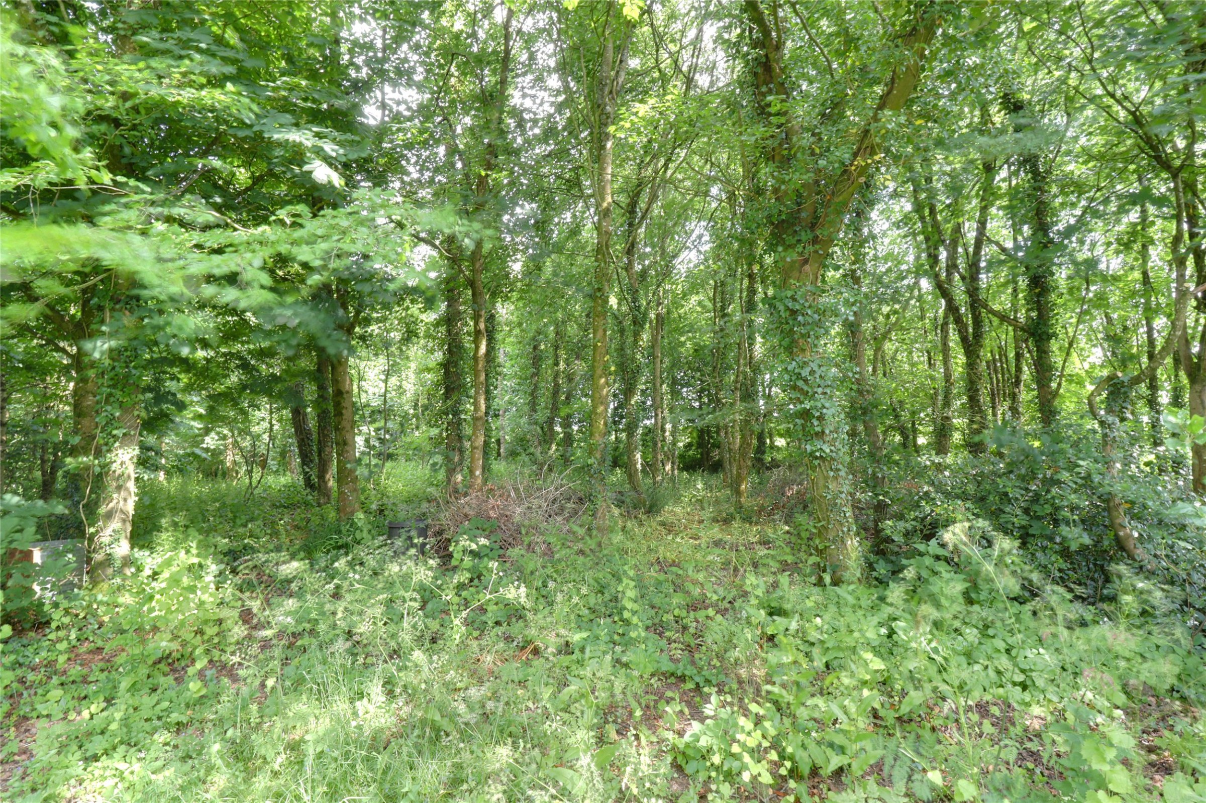 Petrockstow, Okehampton, Devon, EX20, photo 31