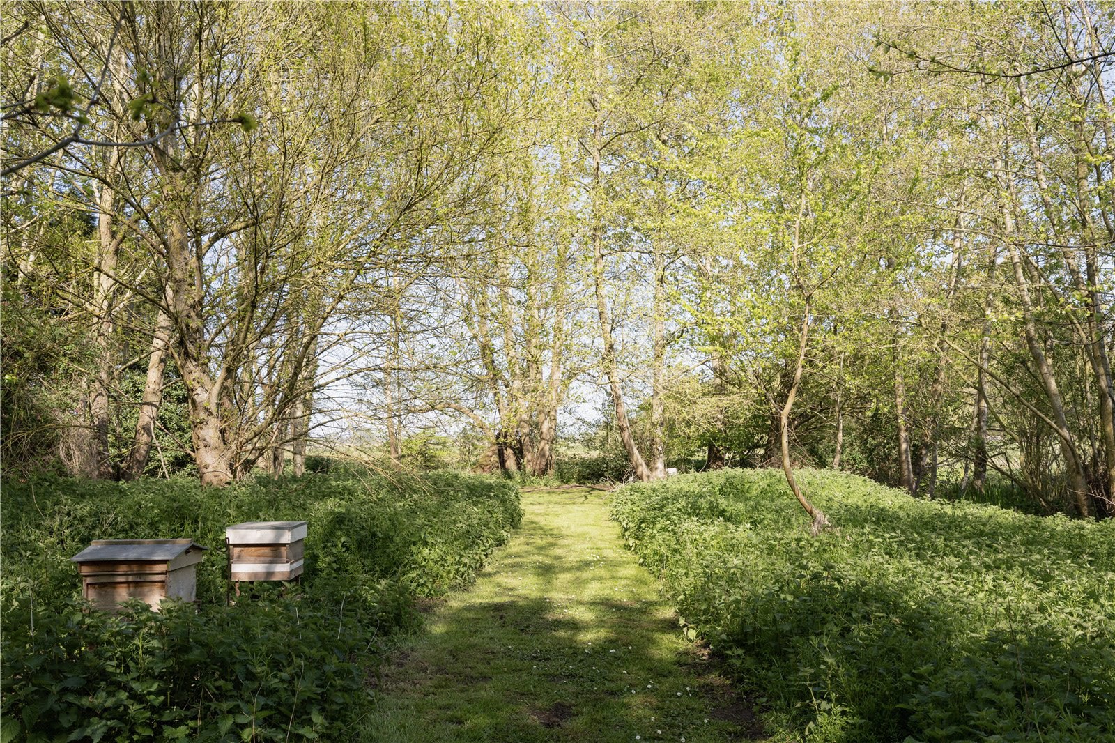 Lower Road, Rockland St. Mary, Norwich, Norfolk, NR14, photo 32