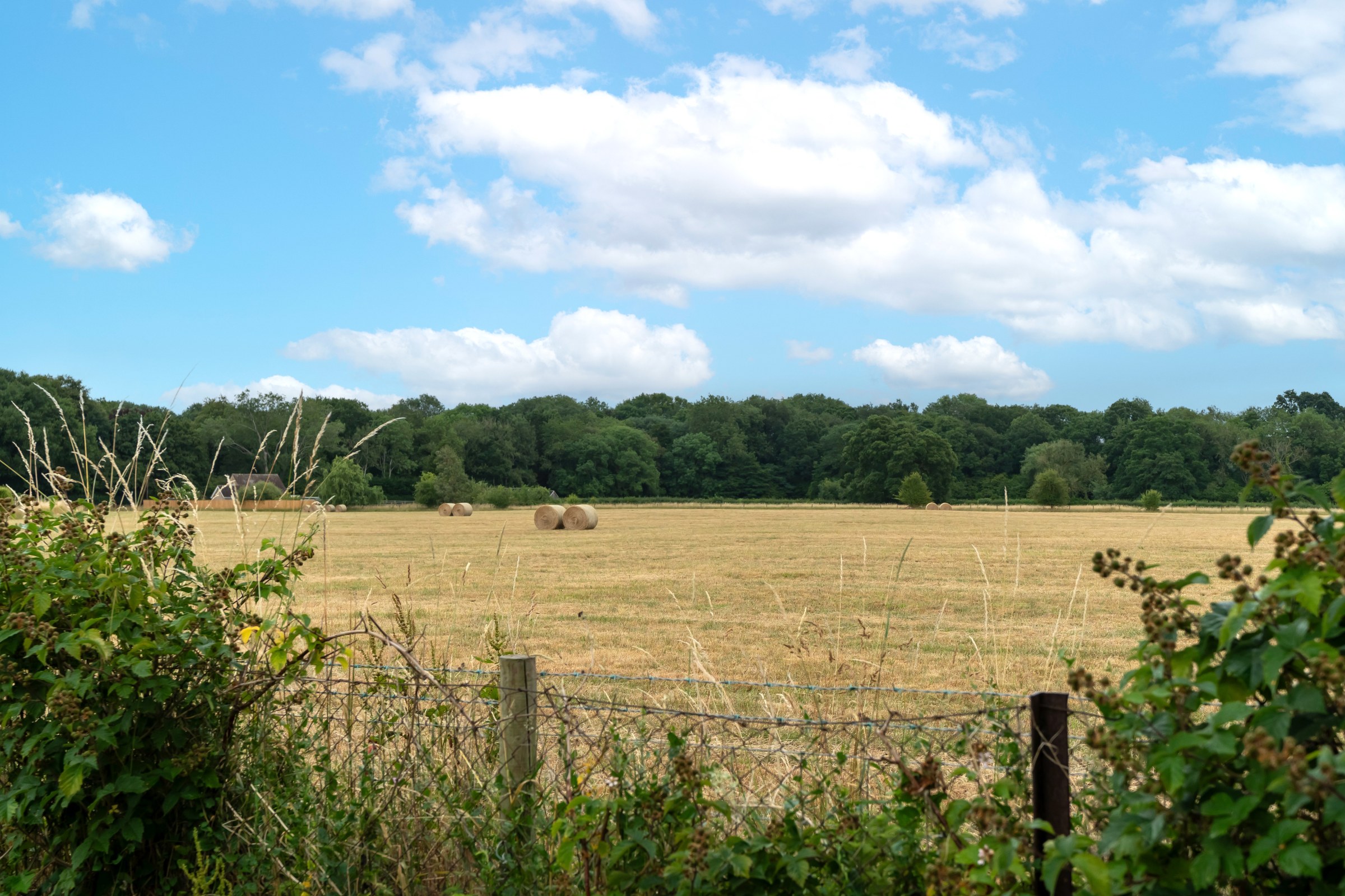 Netherton Road, Appleton, OX13, photo 33