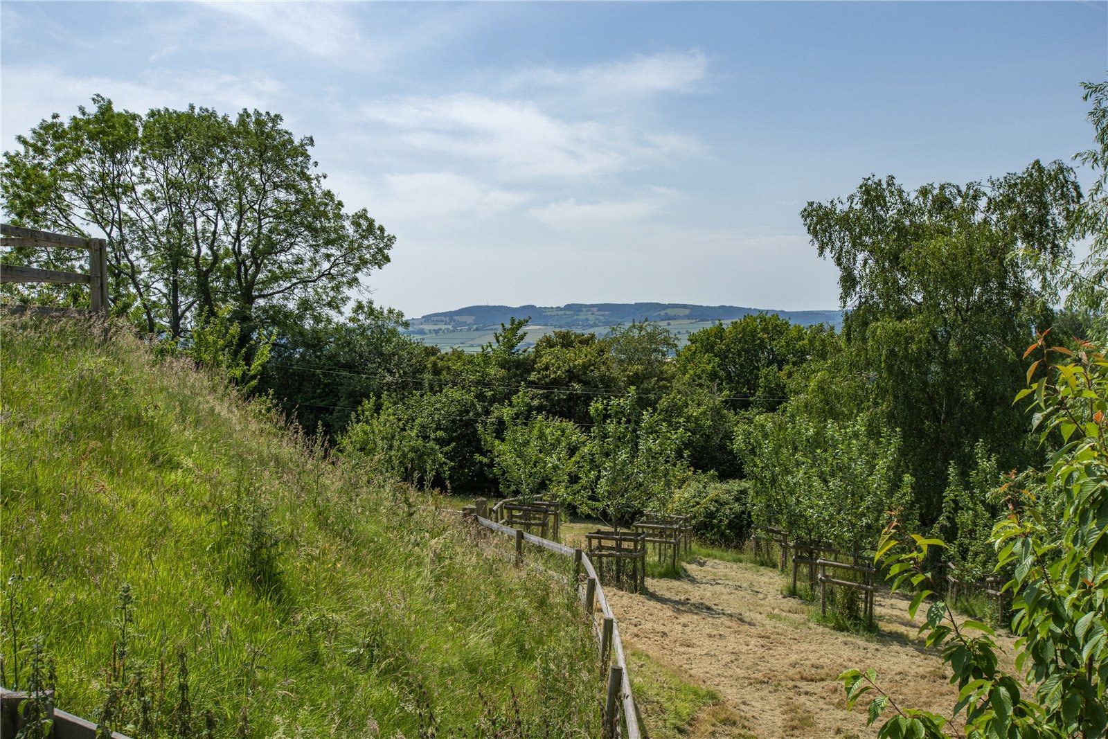 Crowcombe, Taunton, Somerset, TA4, photo 24