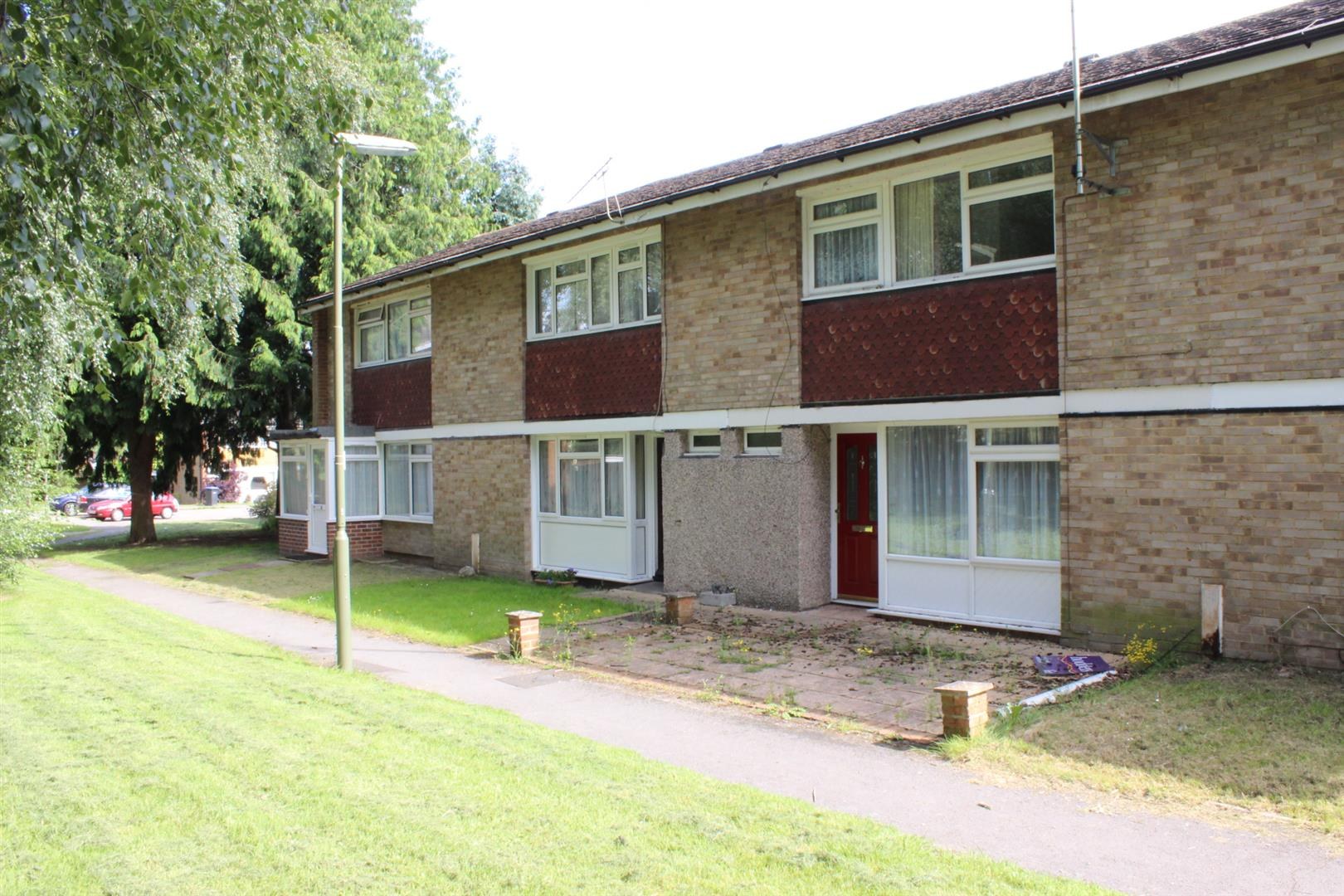 Beechtree Avenue