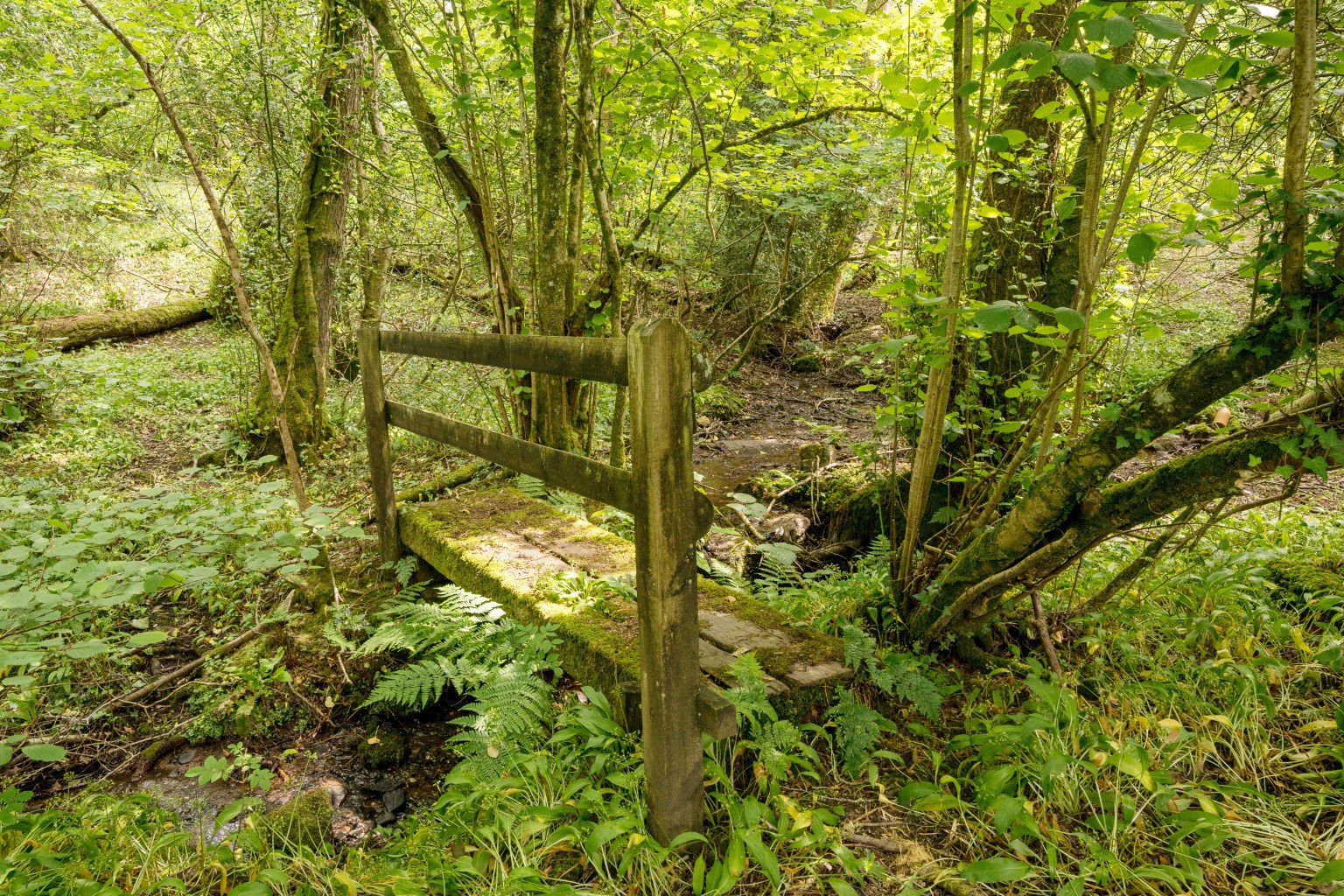 Tadhill, Leigh Upon Mendip, photo 25