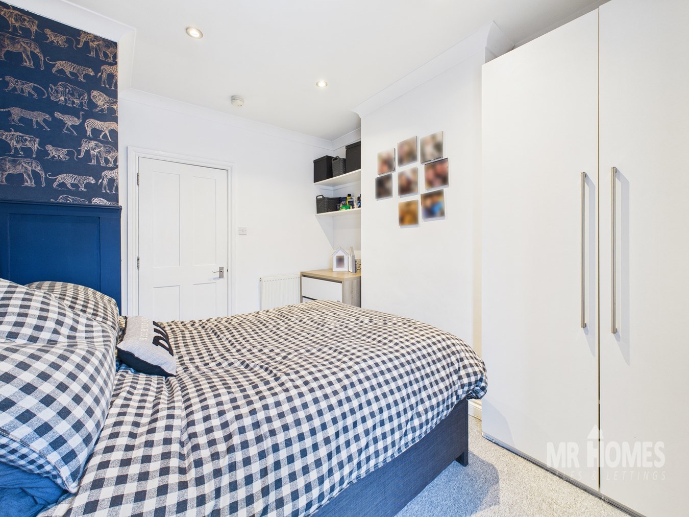 Topaz Street, Roath, Cardiff, CF24, photo 19