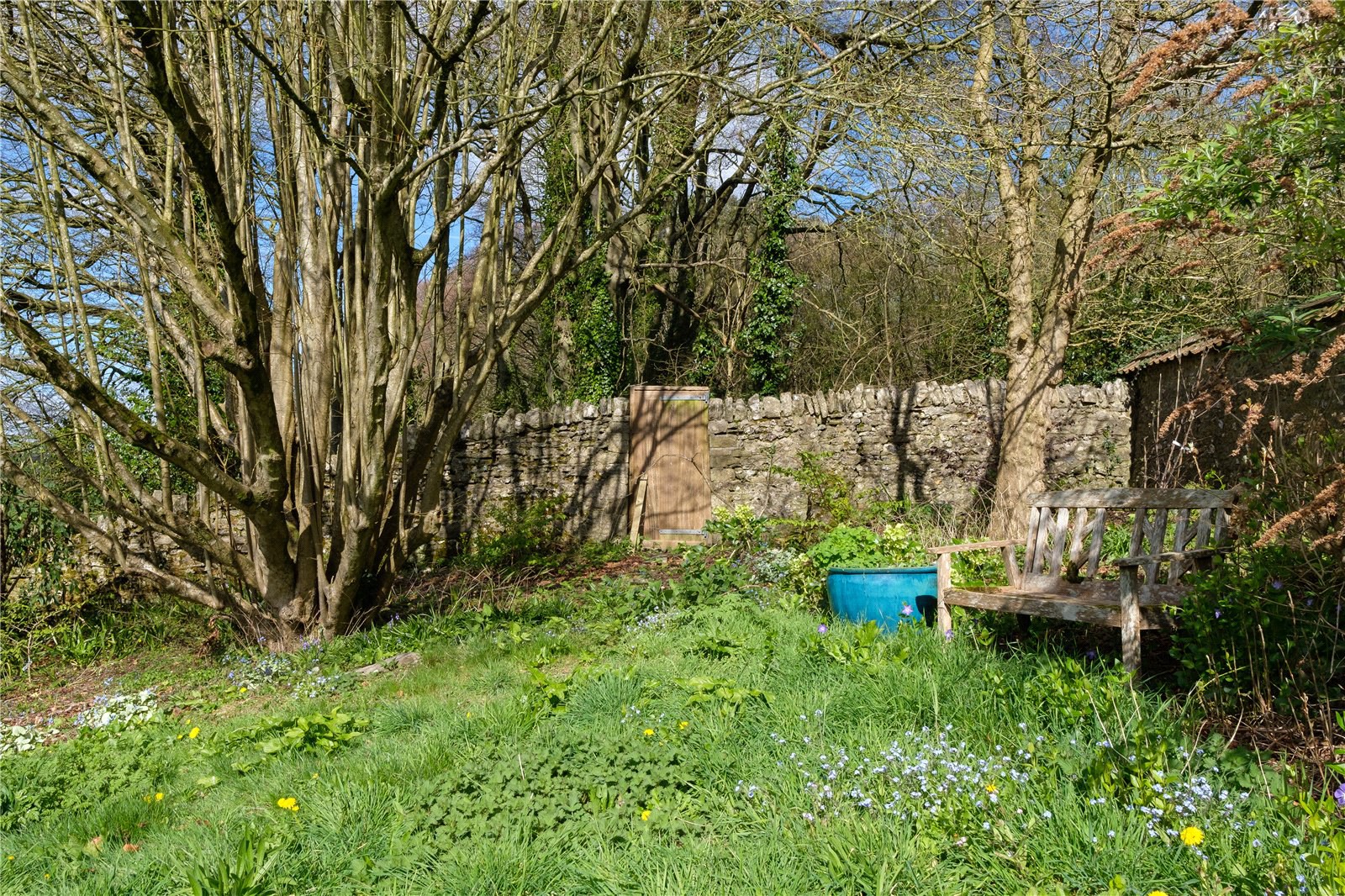 Rew, Martinstown, Dorchester, Dorset, DT2, photo 73