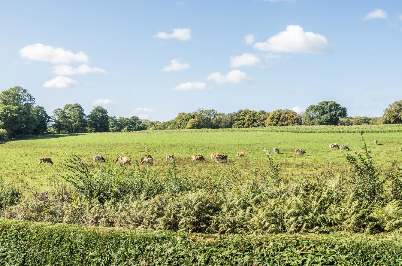 Bunny Lane, Sherfield English, Romsey, SO51, photo 2