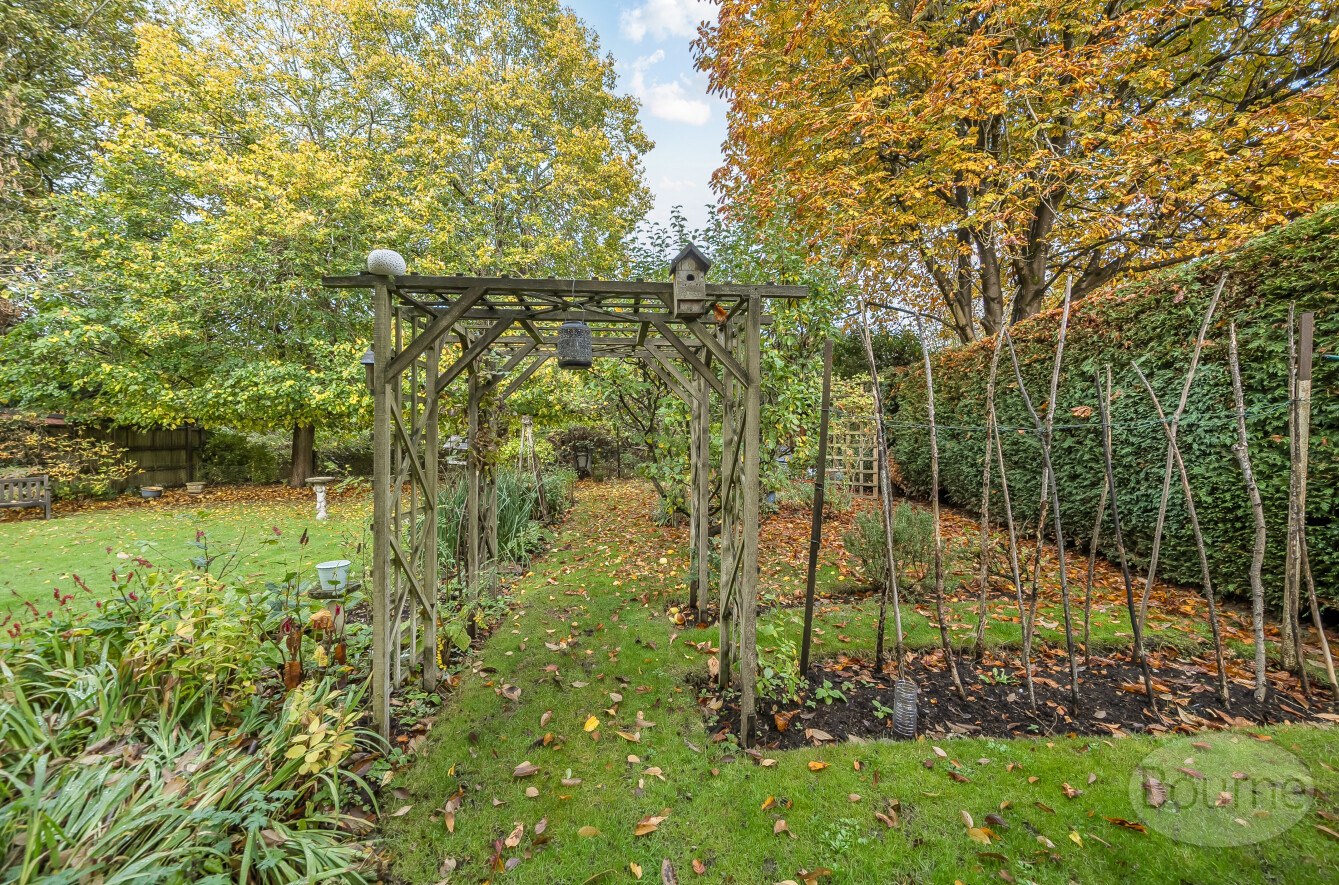 Glaziers Lane, Normandy, Guildford, Surrey, GU3, photo 28