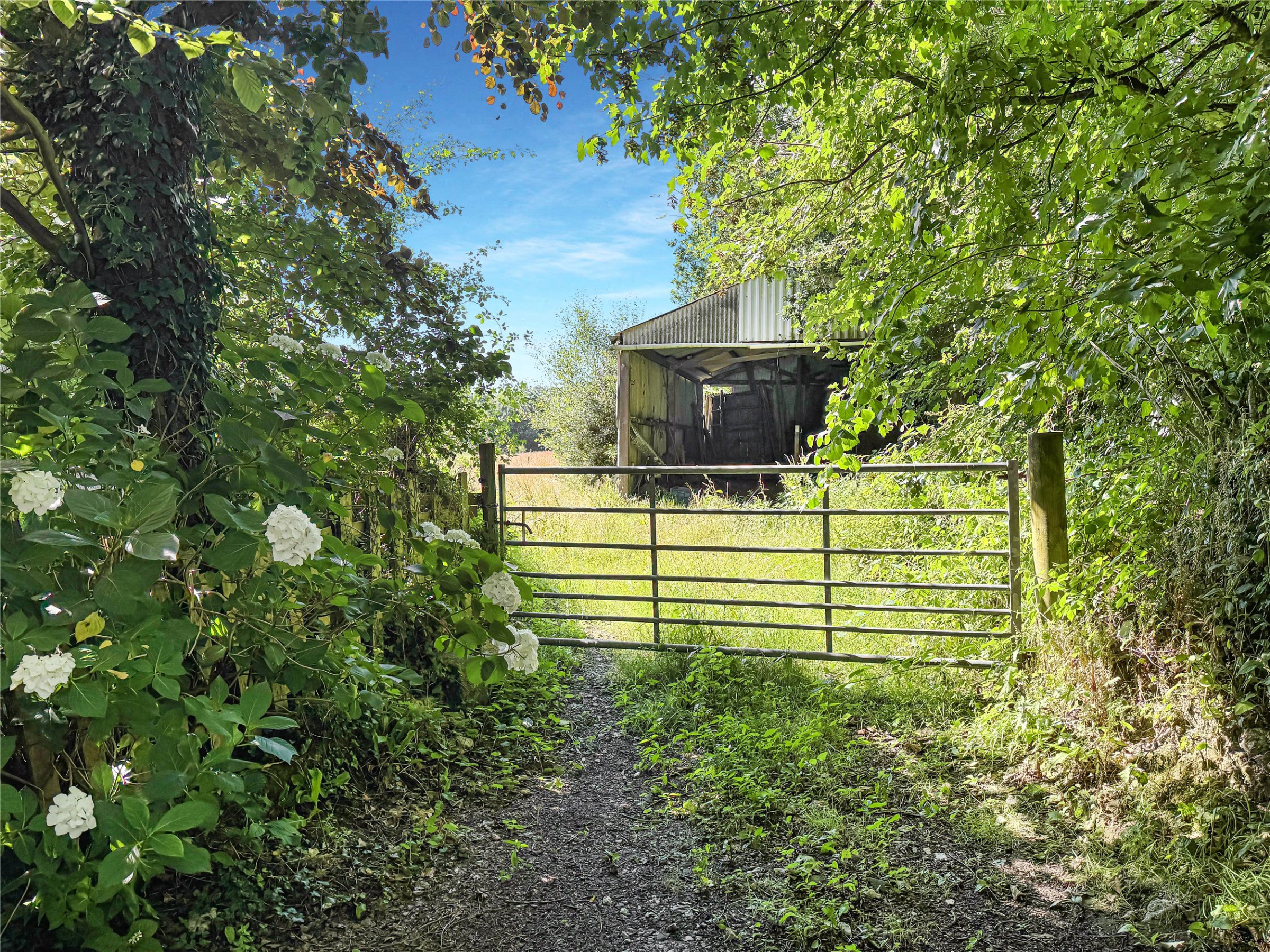 Halgavor Lane, Bodmin, Cornwall, PL31, photo 4
