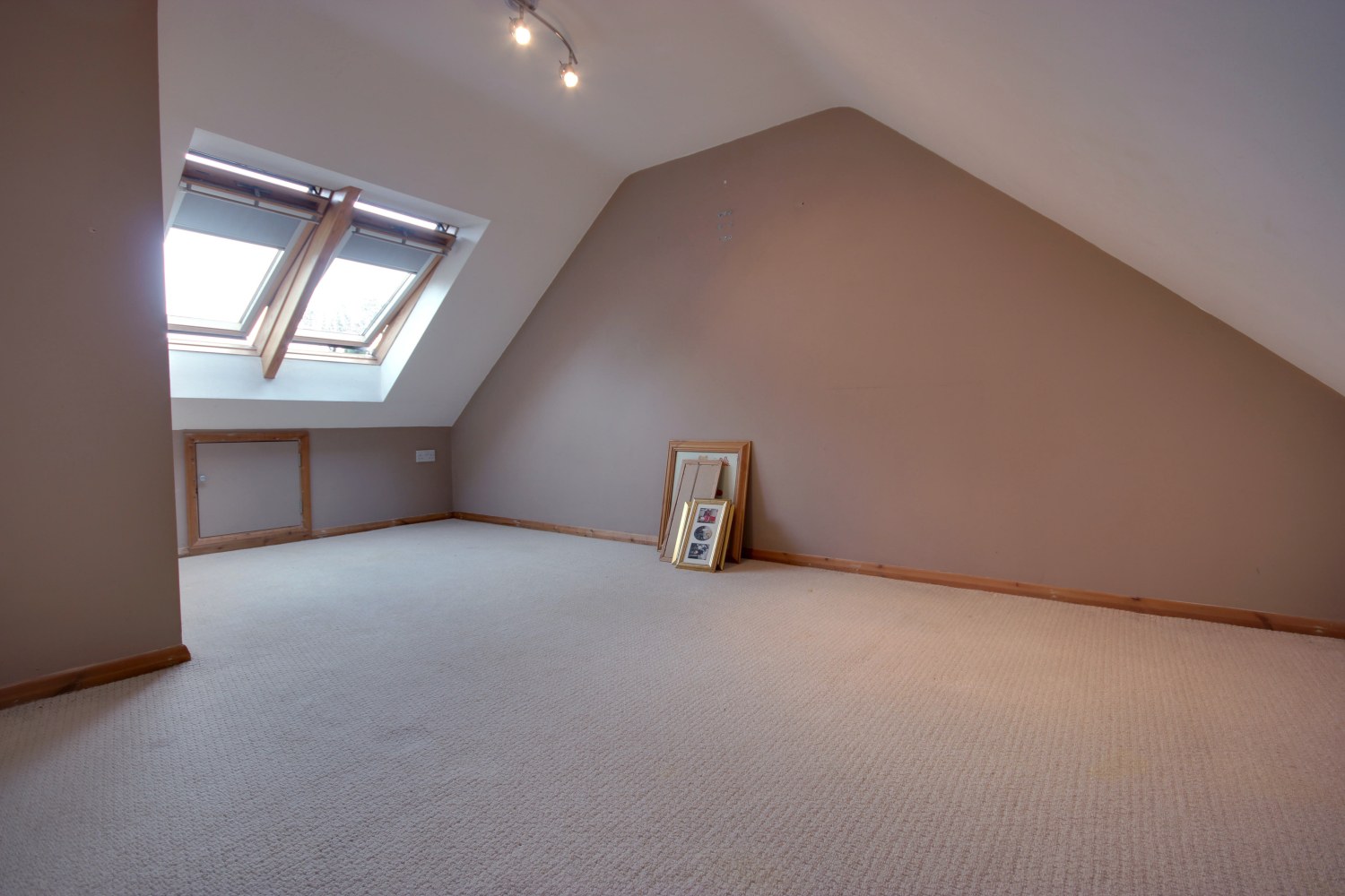 42 Chester Avenue, Beverley, photo 16