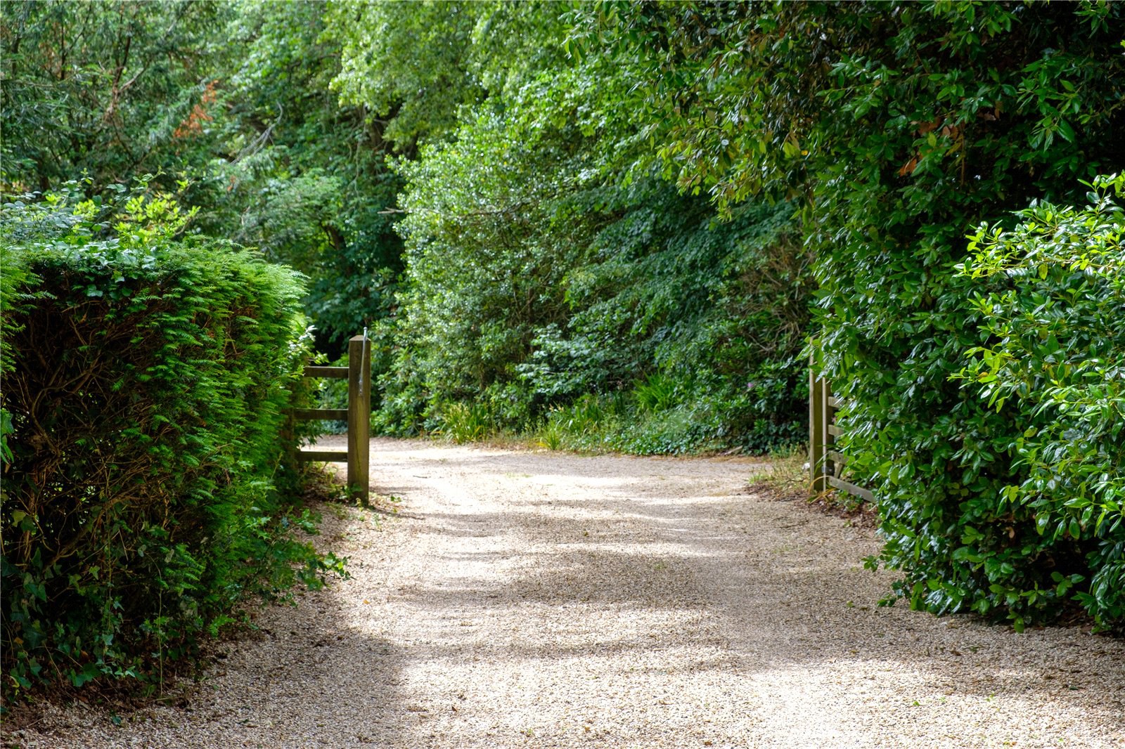 Moreton, Dorchester, Dorset, DT2, photo 82