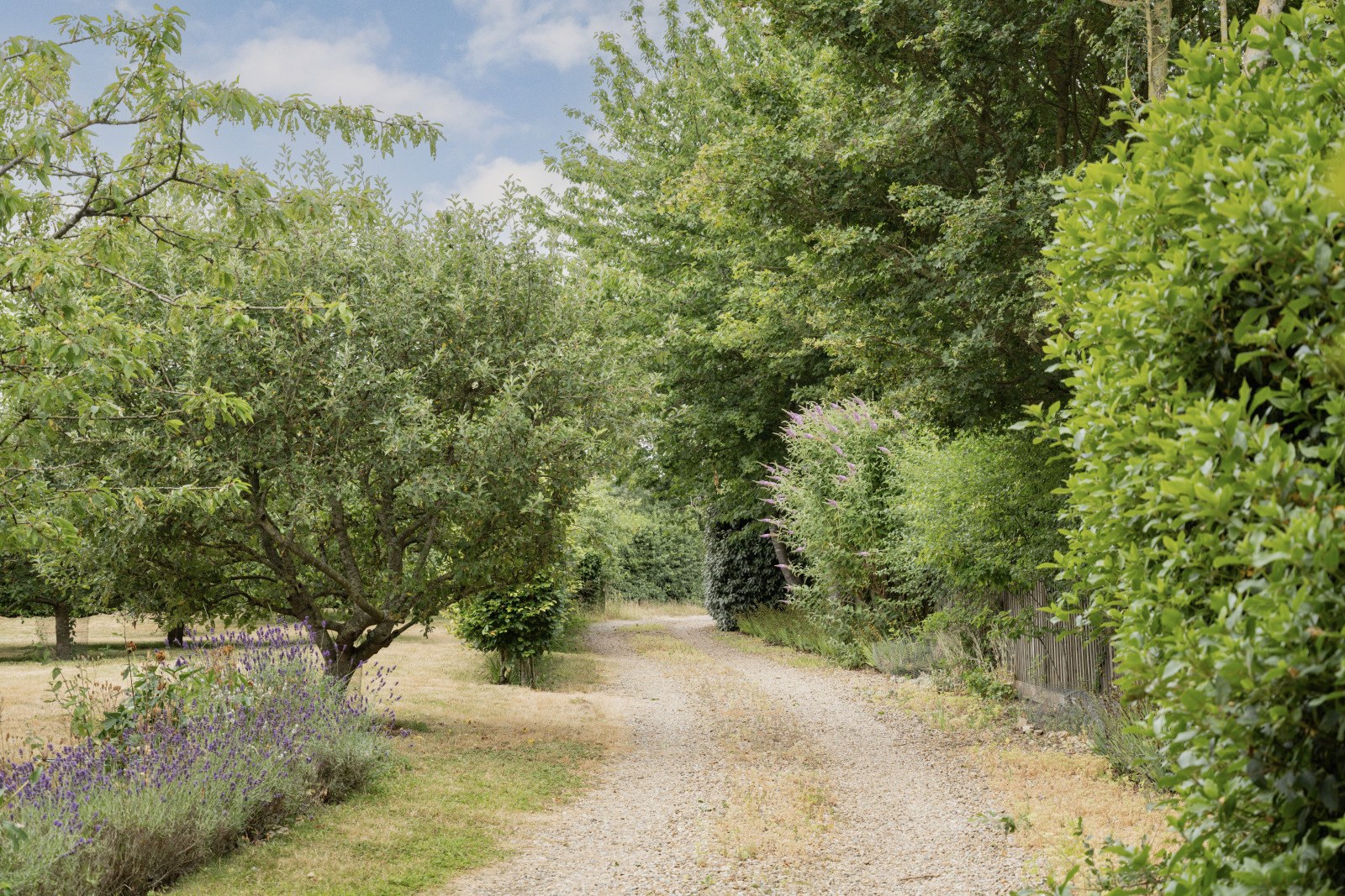 Norwich Road, Woodton, Bungay, Norfolk, NR35, photo 30