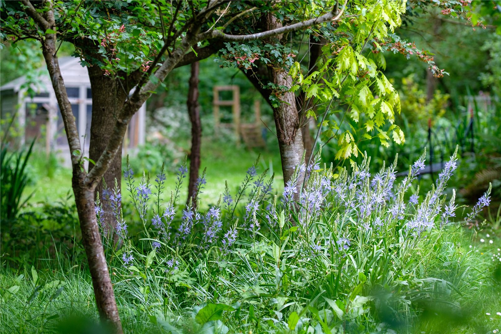 Eype, Bridport, Dorset, DT6, photo 61