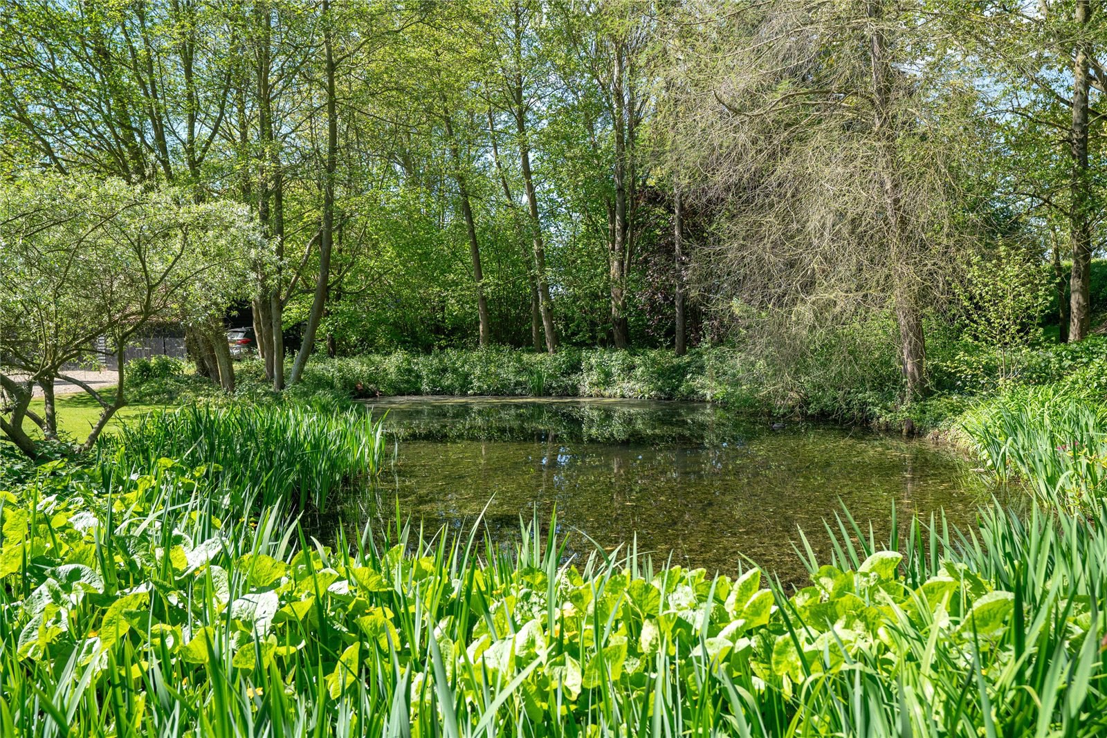 Washbrook, Ipswich, Suffolk, IP8, photo 18