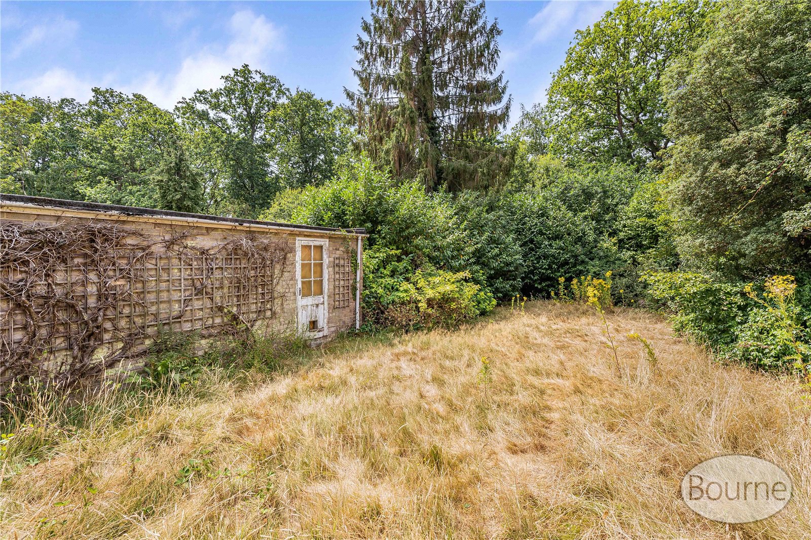 Bramble Rise, Cobham, Surrey, KT11, photo 11