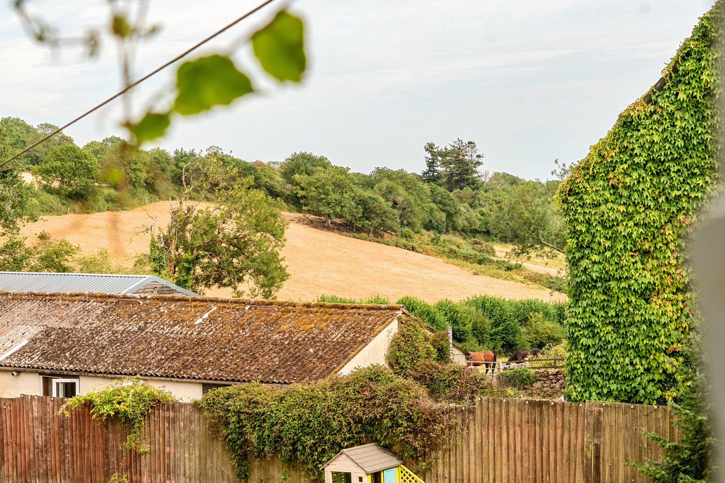 Bovey Tracey, Newton Abbot, TQ13, photo 16