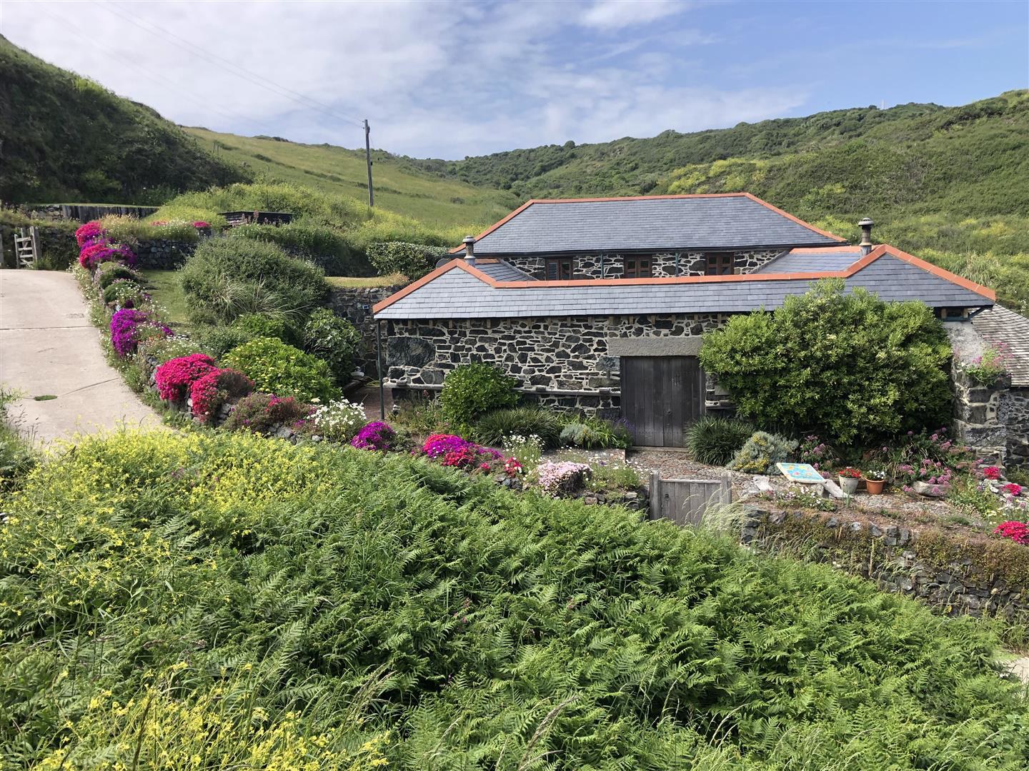 Church Cove | Lizard Peninsula, photo 46