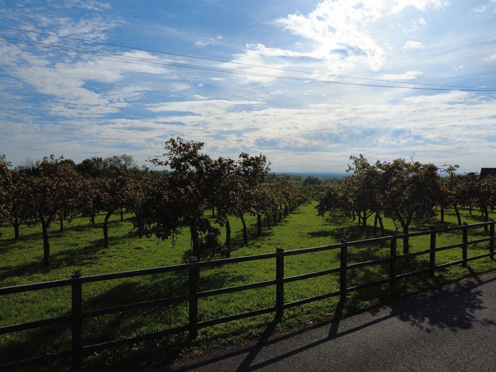 Stone Allerton, Axbridge, Somerset, photo 50