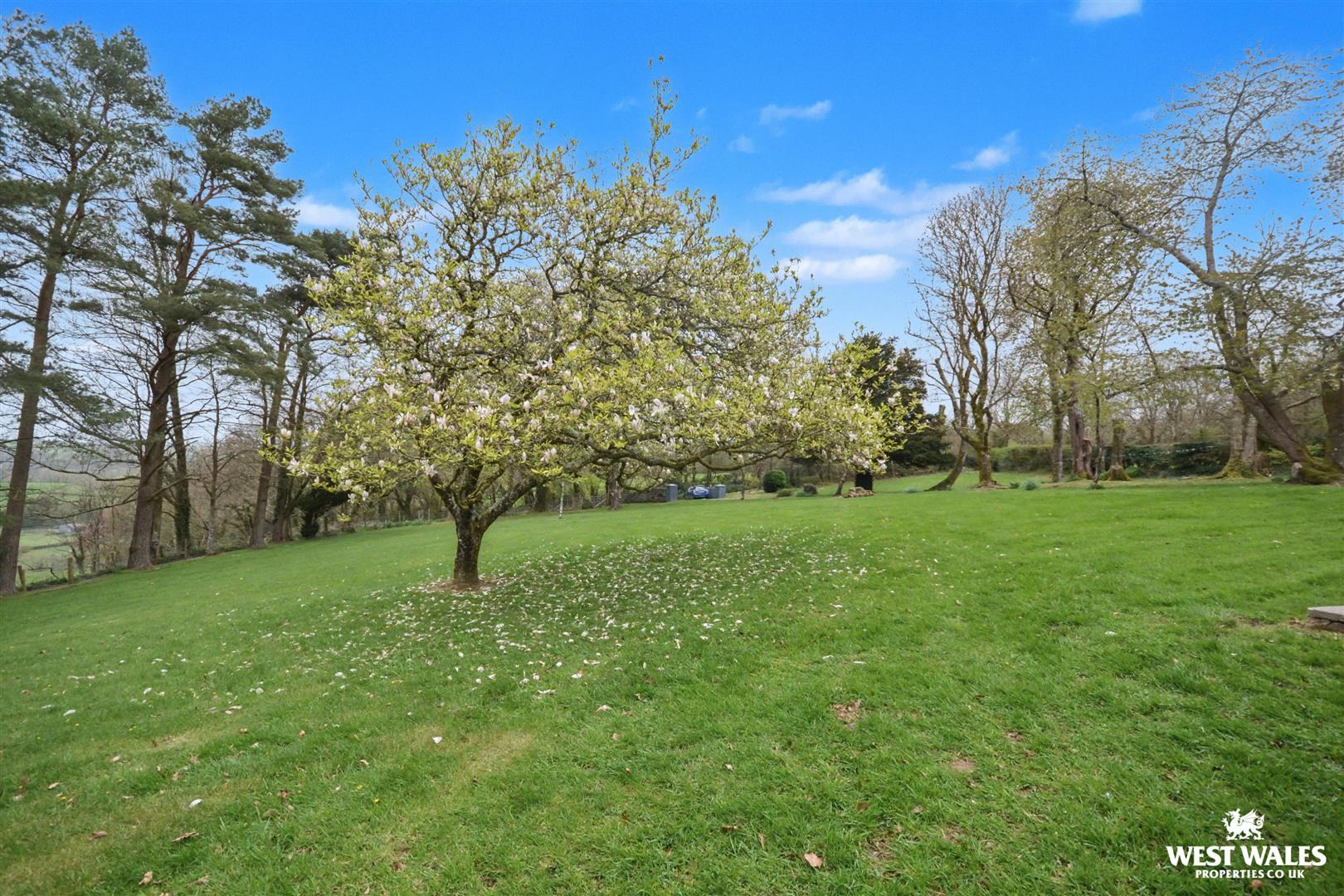 Dol Llan Road, Llandysul, photo 26