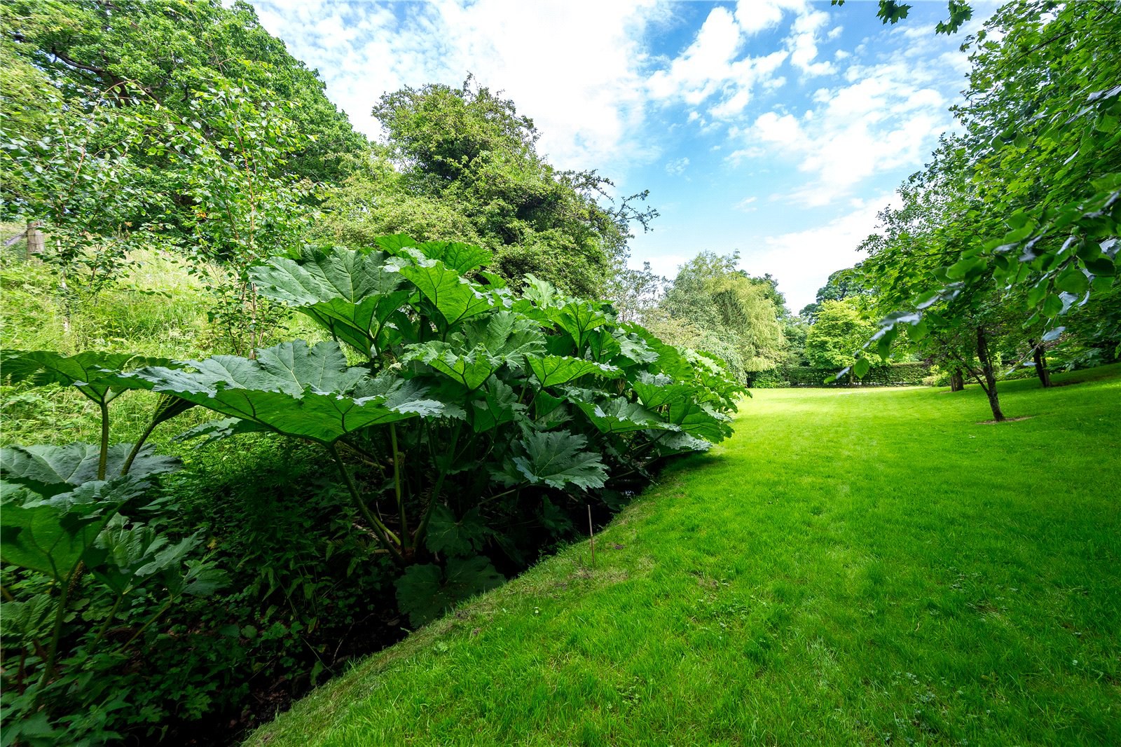 Leagram Road, Chipping, Ribble Valley, Lancashire, PR3, photo 45