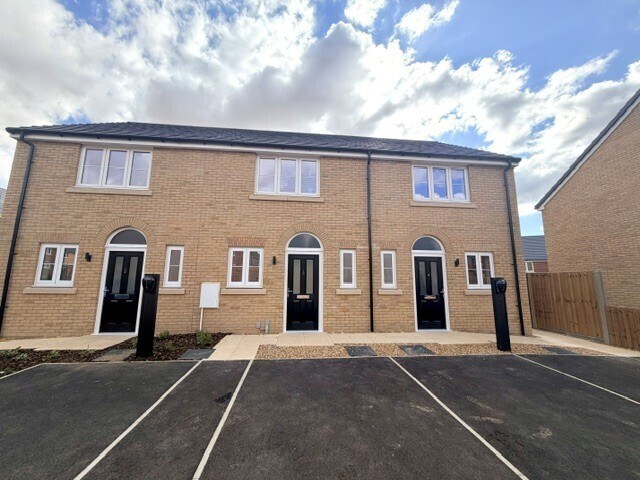 Bull Court