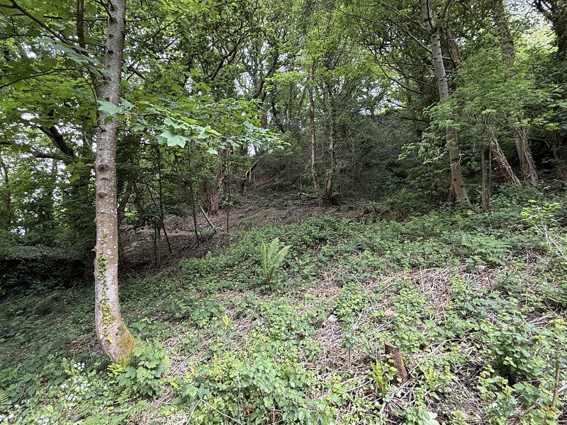 Fernfield, Baglan, Port Talbot, Neath Port Talbot., photo 24