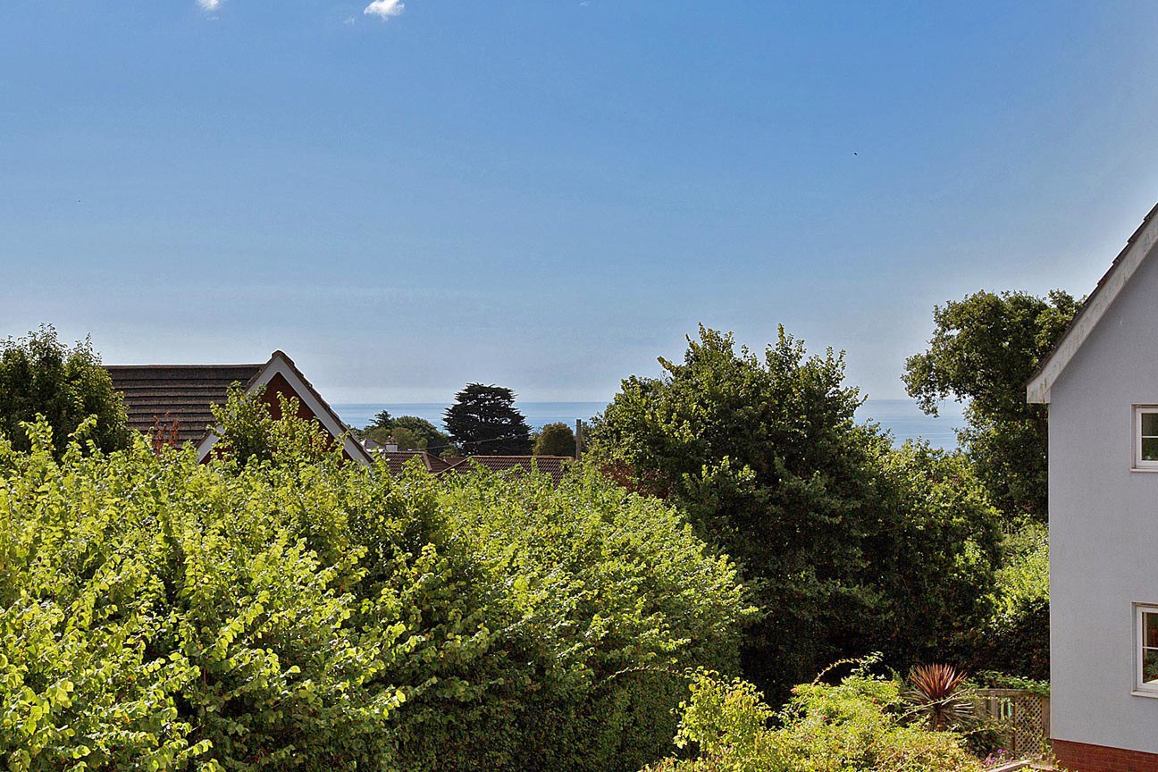 Barham Avenue, Teignmouth, TQ14, photo 14
