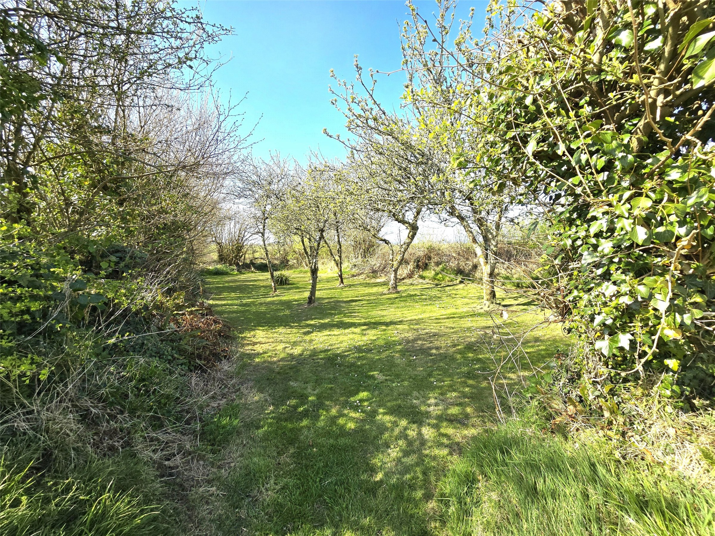 Crackington Haven, Bude, EX23, photo 11