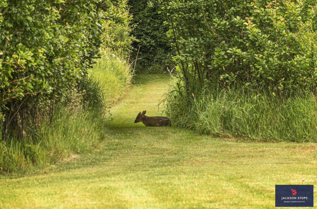 Thurlow Road, Withersfield, Haverhill, Suffolk, CB9, photo 29