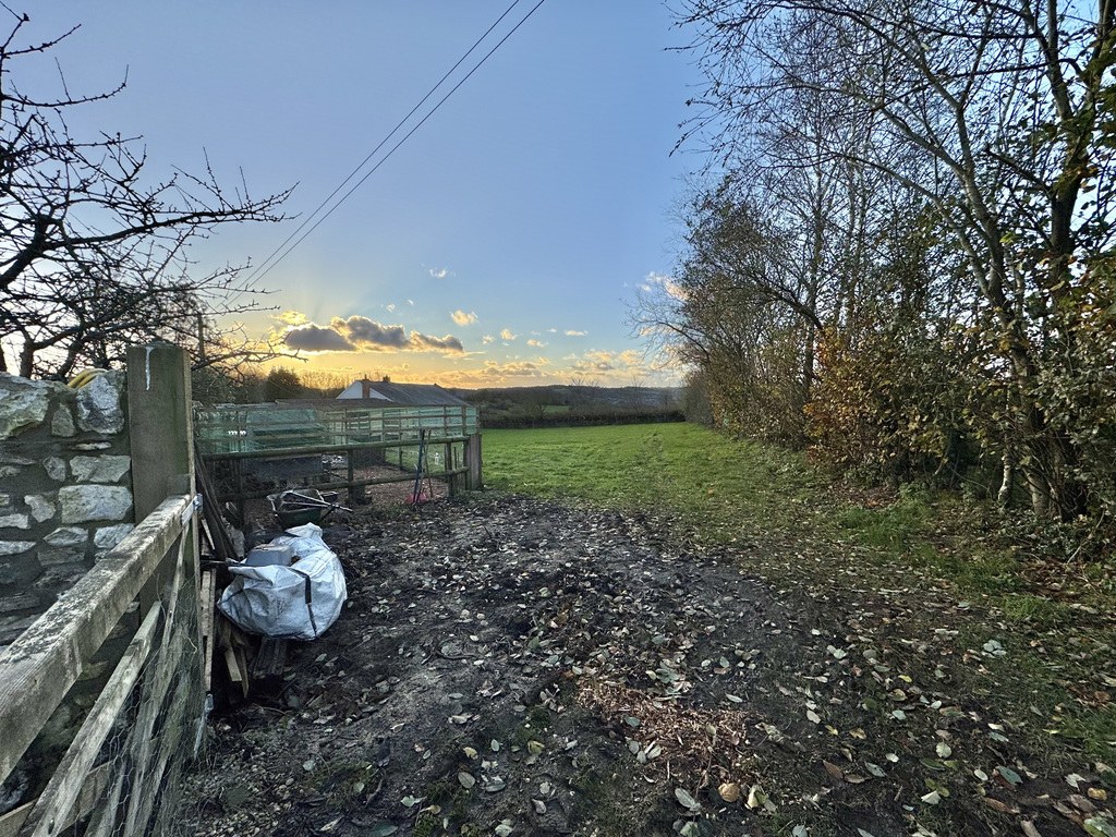 Newtown, Buckland St. Mary, photo 38